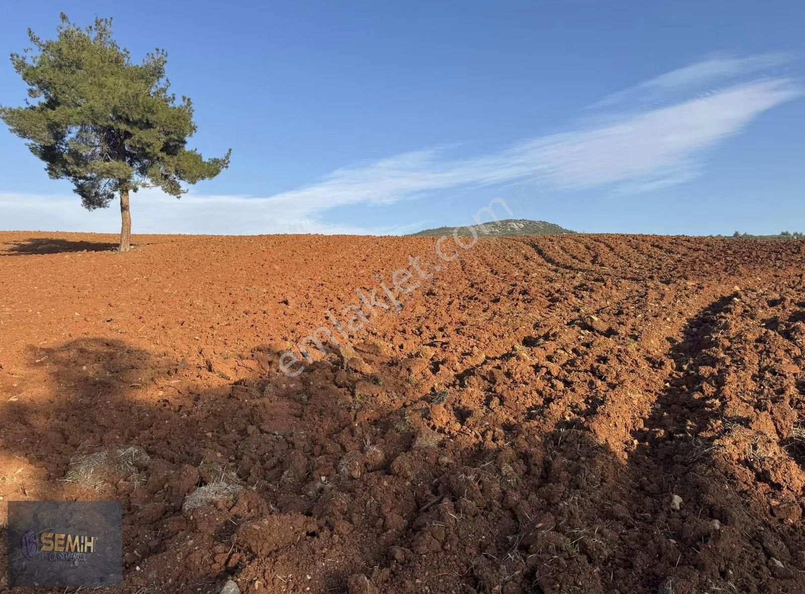 Semih'den Hayriyede Yol Kenarı Stabilize Yola Cephe Hobi Bahçesi - Görsel 8