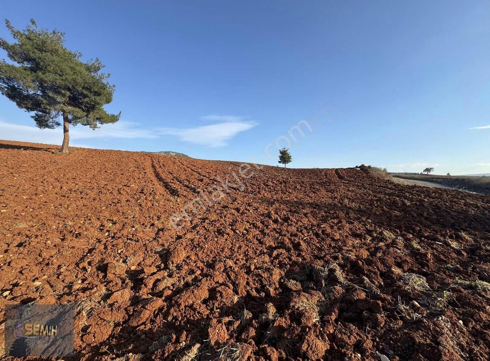 Semih'den Hayriyede Yol Kenarı Stabilize Yola Cephe Hobi Bahçesi - Görsel 9