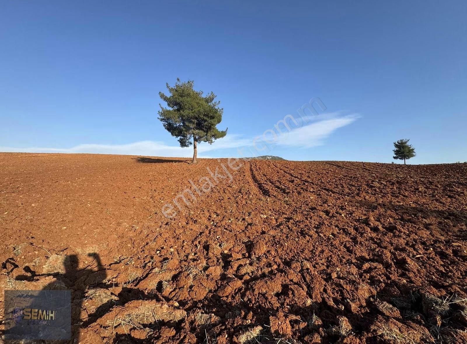 Semih'den Hayriyede Yol Kenarı Stabilize Yola Cephe Hobi Bahçesi - Görsel 4