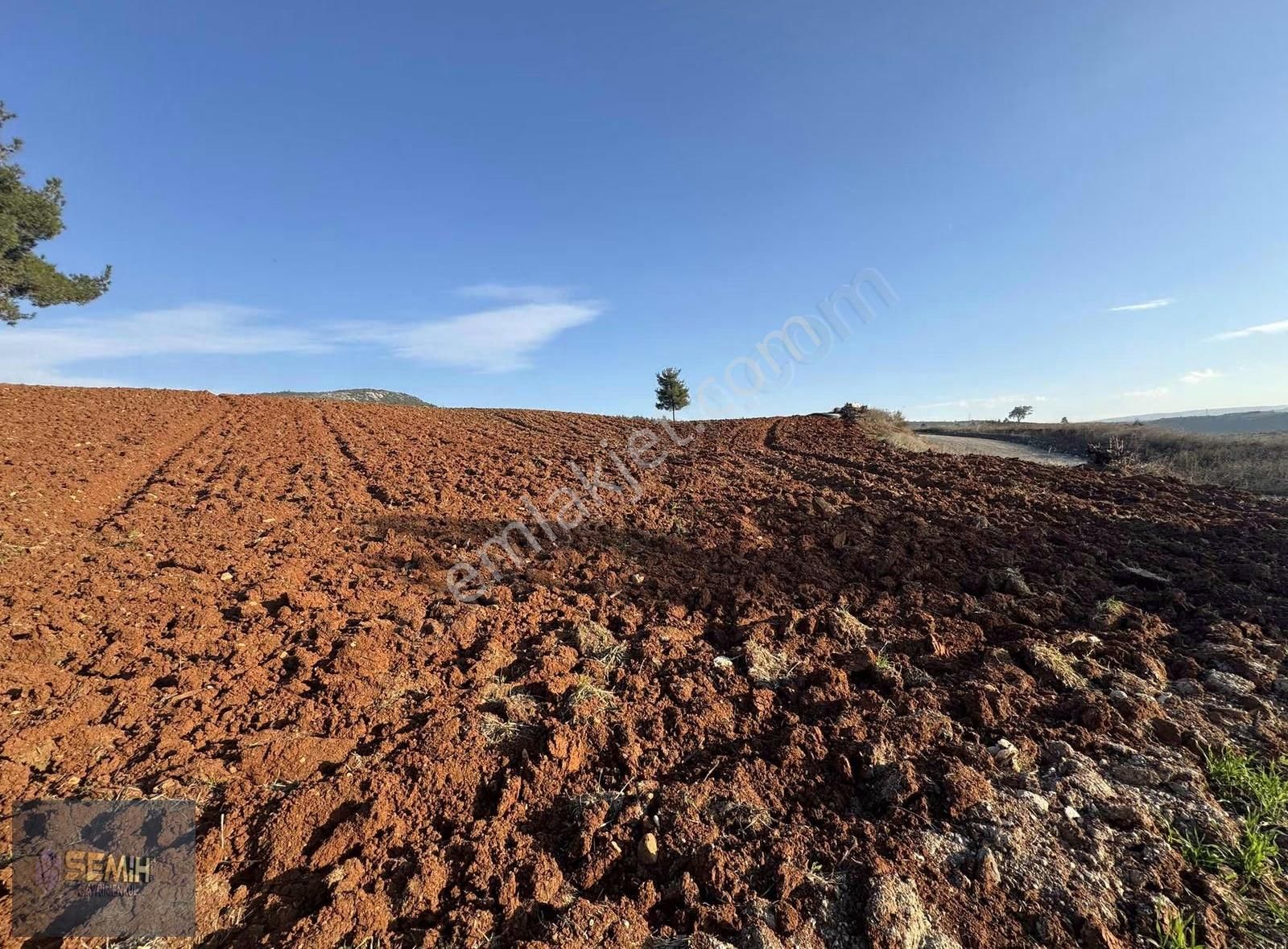 Semih'den Hayriyede Yol Kenarı Stabilize Yola Cephe Hobi Bahçesi - Görsel 11