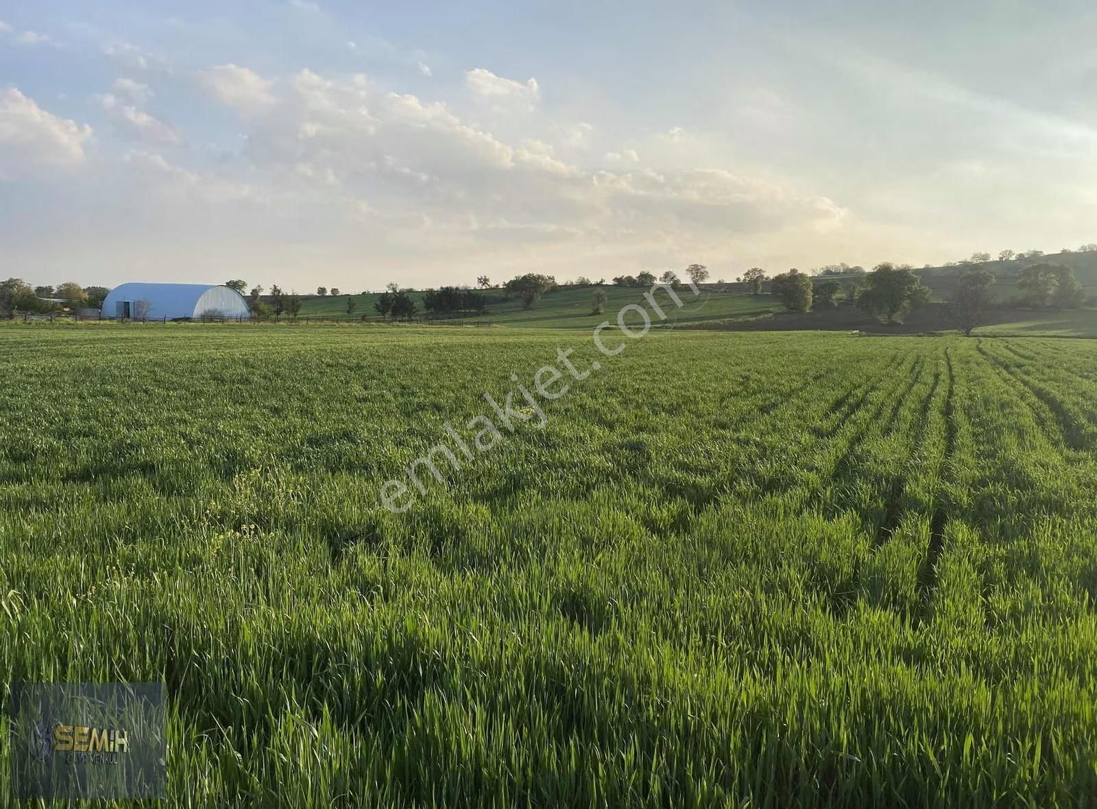 Semih'den Afşarda Şok Şok Otobana 200 Metre İmara 600 Metre - Görsel 14
