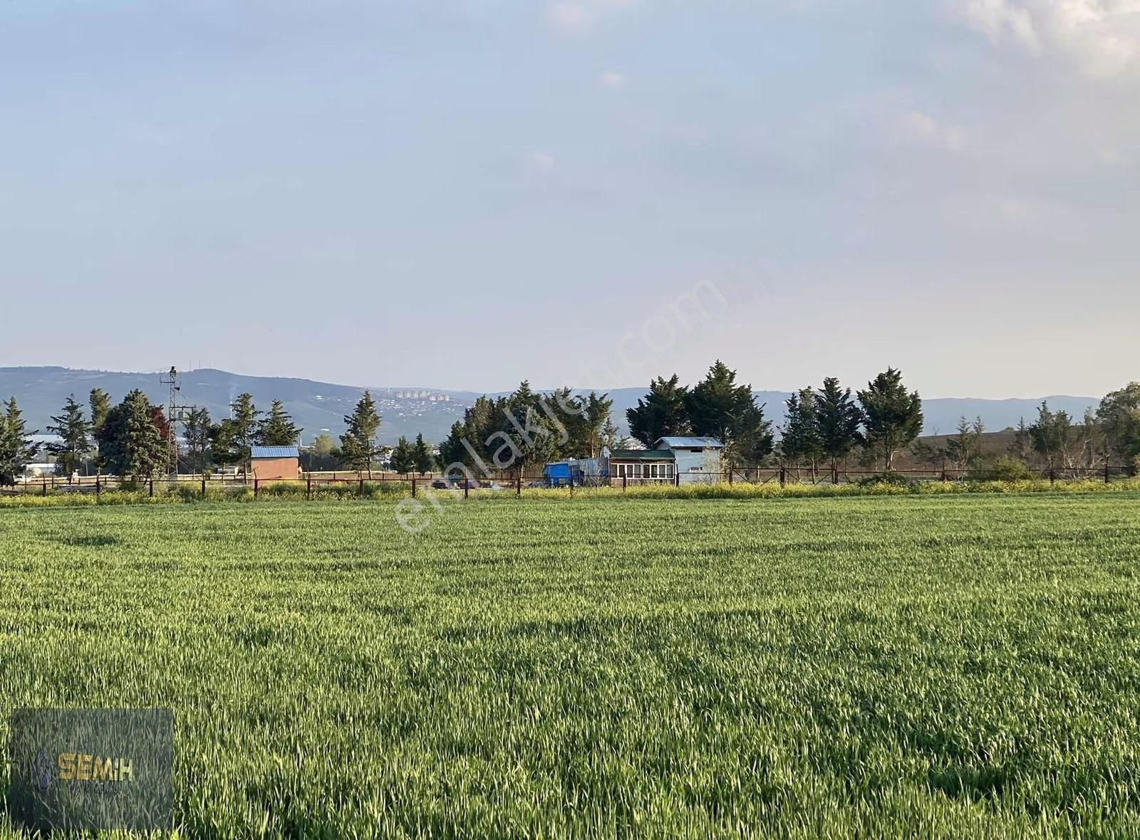 Semih'den Afşarda Şok Şok Otobana 200 Metre İmara 600 Metre - Görsel 17
