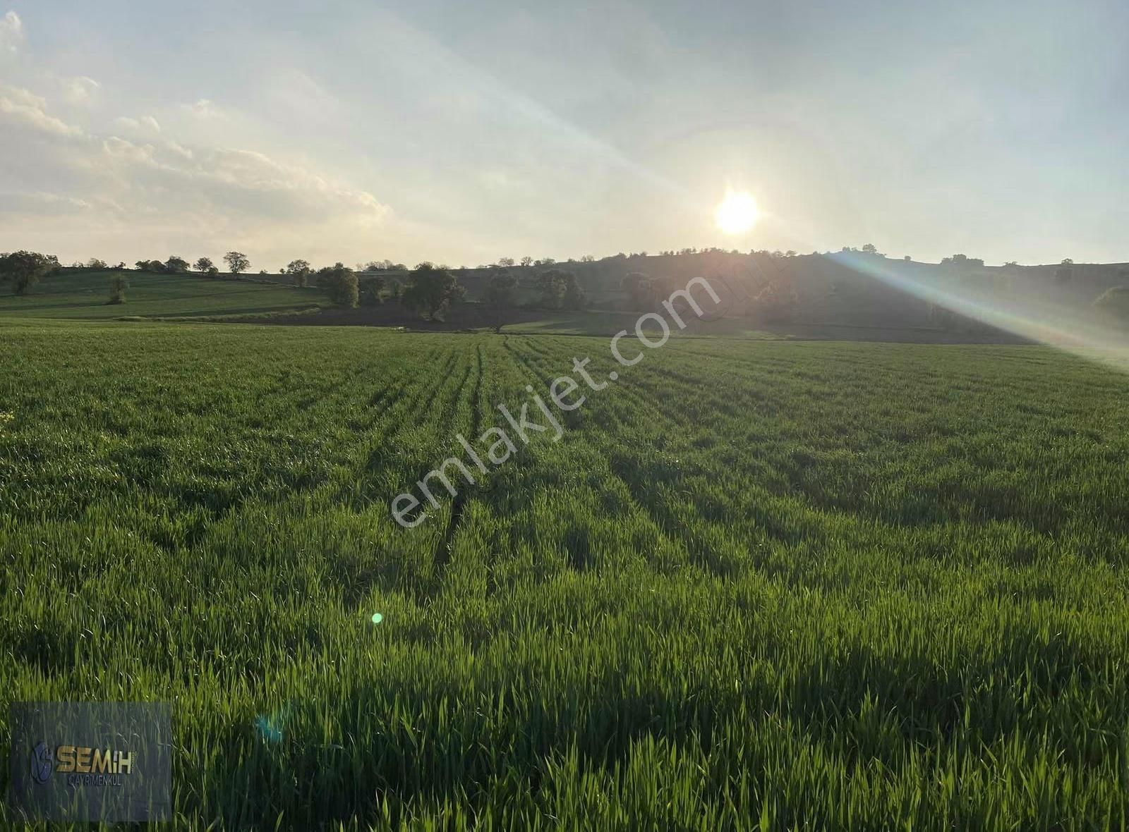 Semih'den Afşarda Şok Şok Otobana 200 Metre İmara 600 Metre - Görsel 11