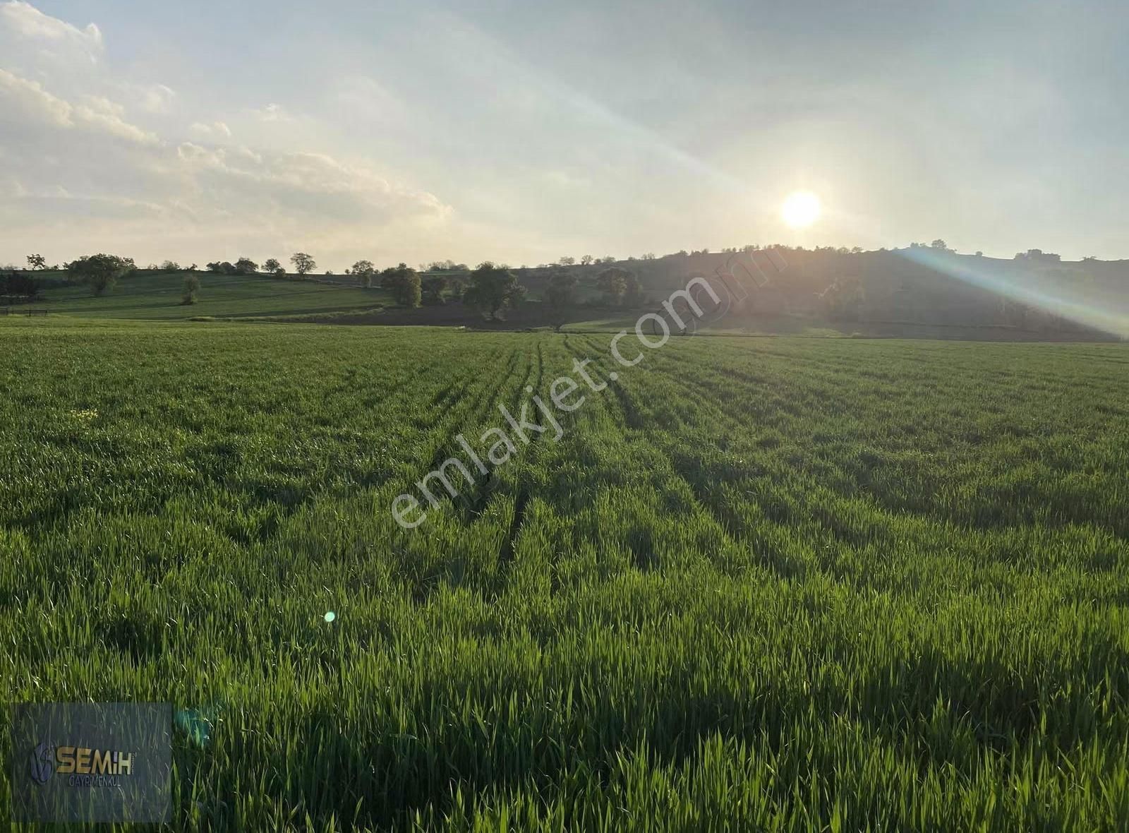 Semih'den Afşarda Şok Şok Otobana 200 Metre İmara 600 Metre - Görsel 2