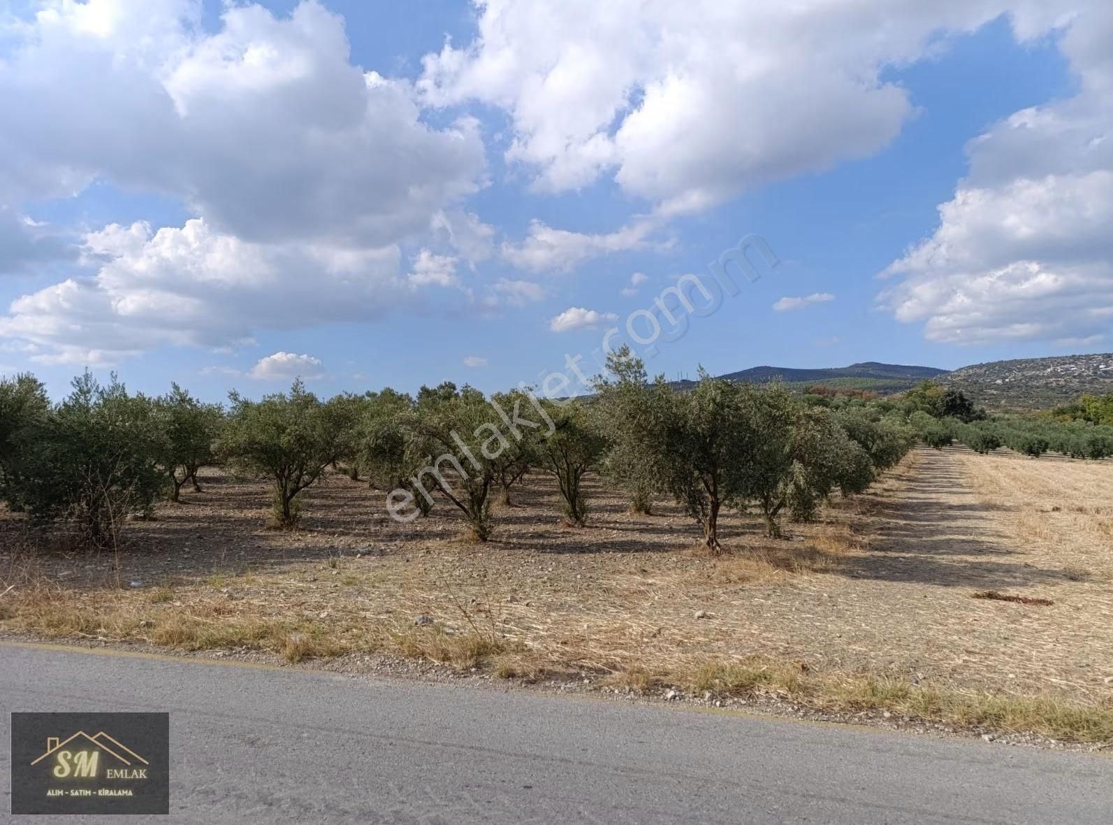 Üçpınar Da Satılık 16.600 Metre Asvalt Yola Cepheli Fırsat Tarla - Görsel 16
