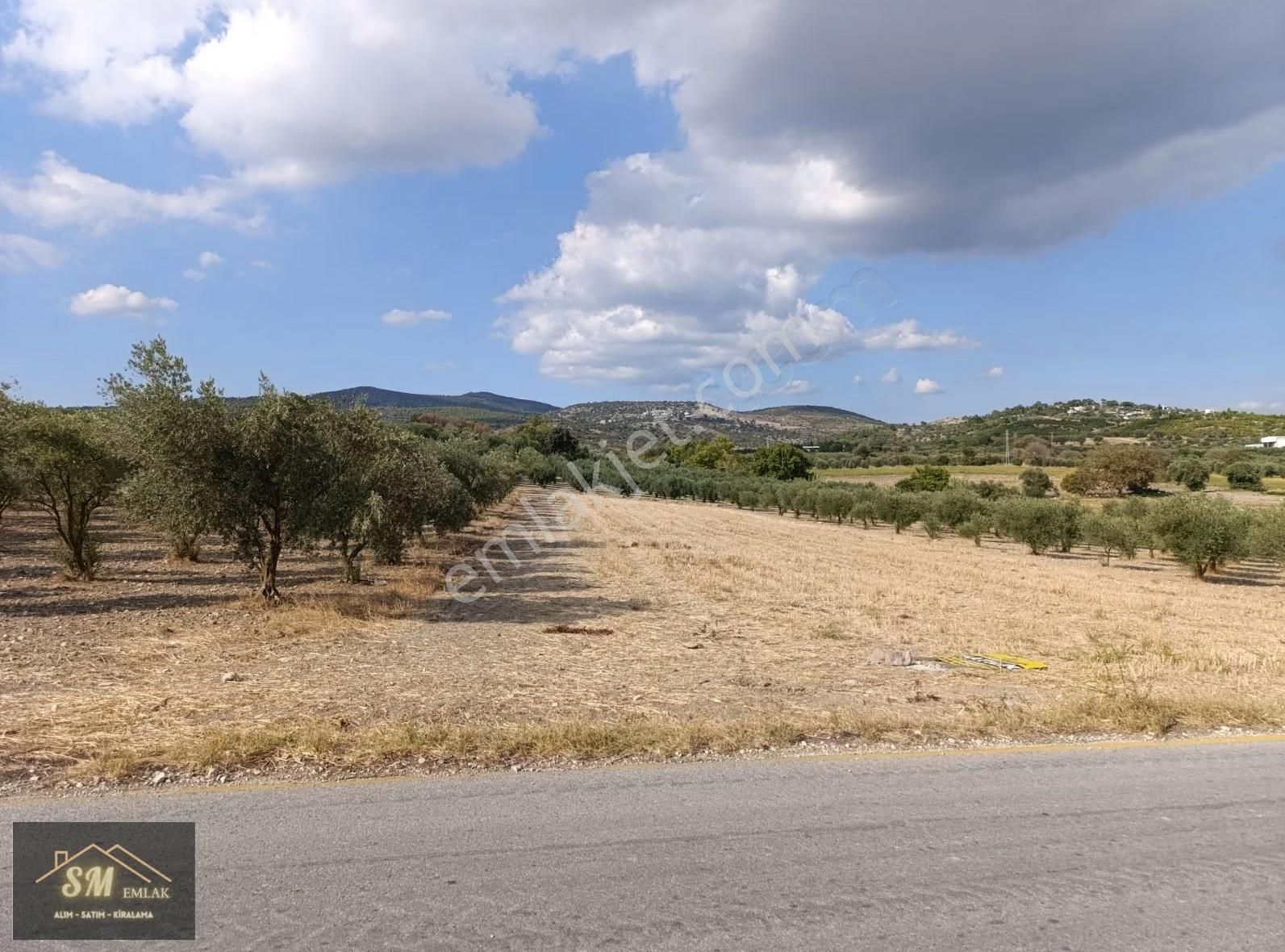 Üçpınar Da Satılık 16.600 Metre Asvalt Yola Cepheli Fırsat Tarla - Görsel 10