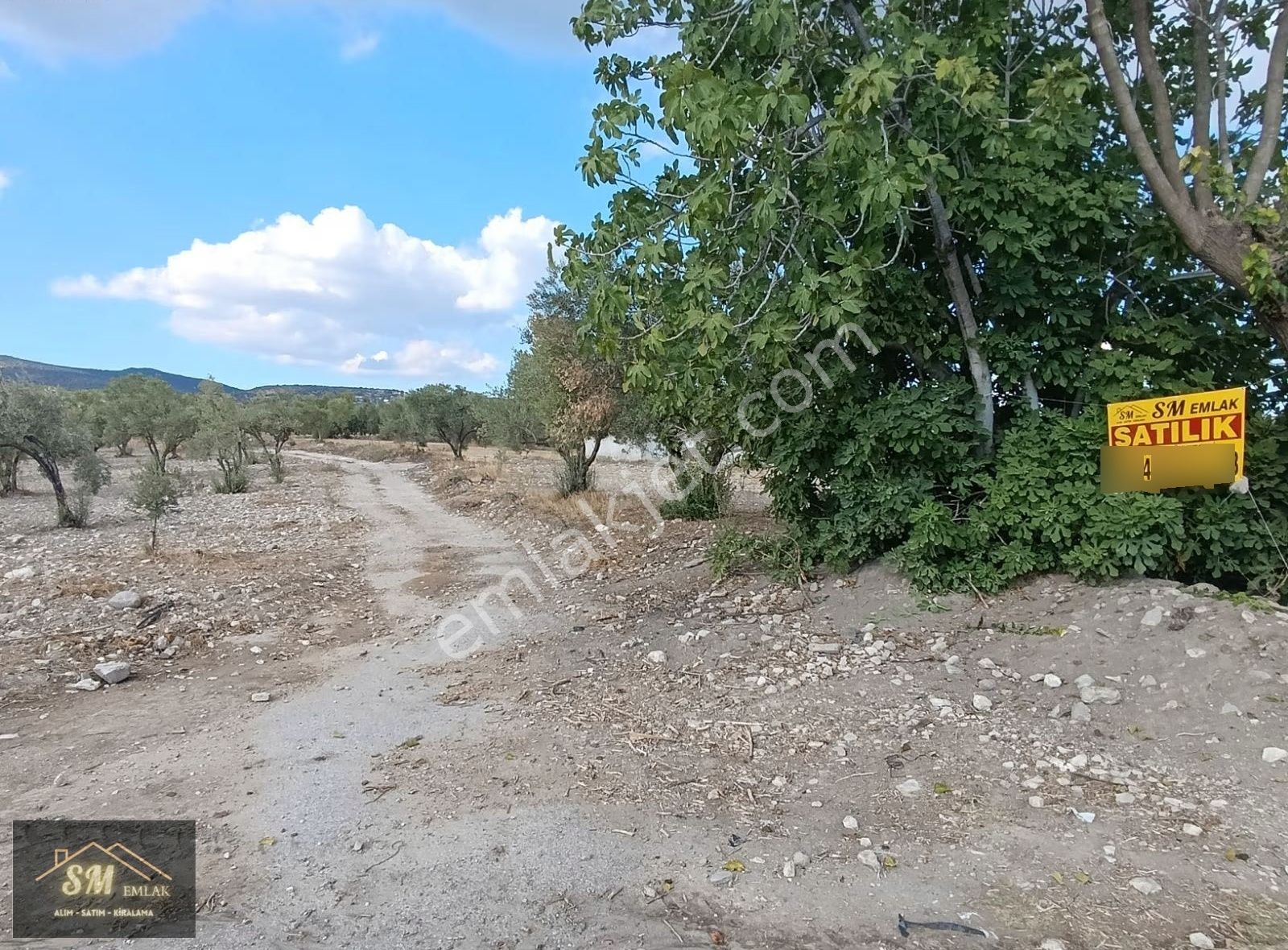 Üçpınar Da Satılık 16.600 Metre Asvalt Yola Cepheli Fırsat Tarla - Görsel 4