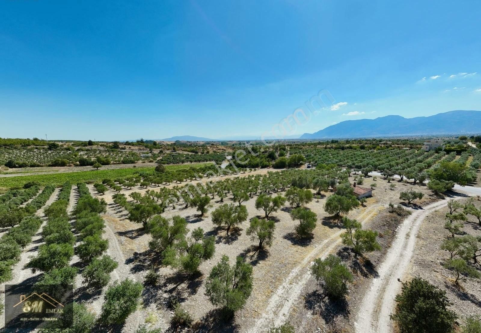 Üçpınar Da Satılık 16.600 Metre Asvalt Yola Cepheli Fırsat Tarla - Görsel 12