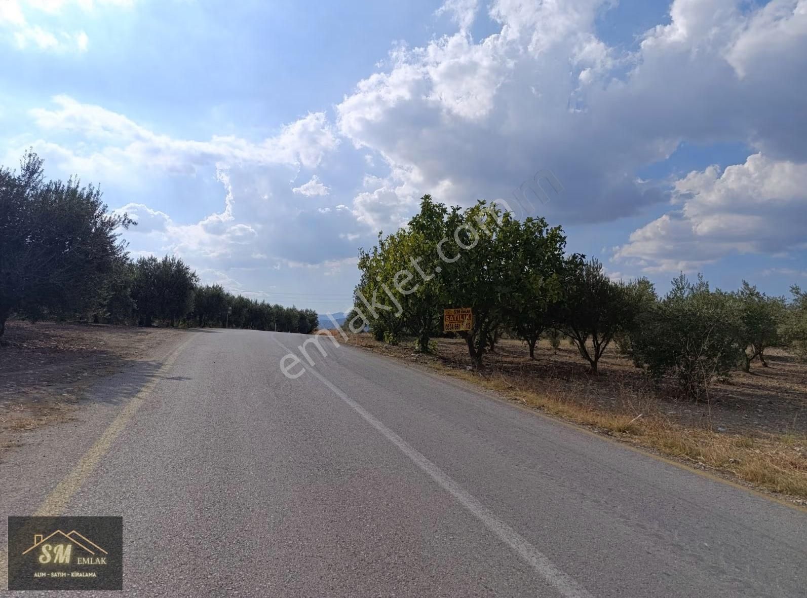Üçpınar Da Satılık 16.600 Metre Asvalt Yola Cepheli Fırsat Tarla - Görsel 17
