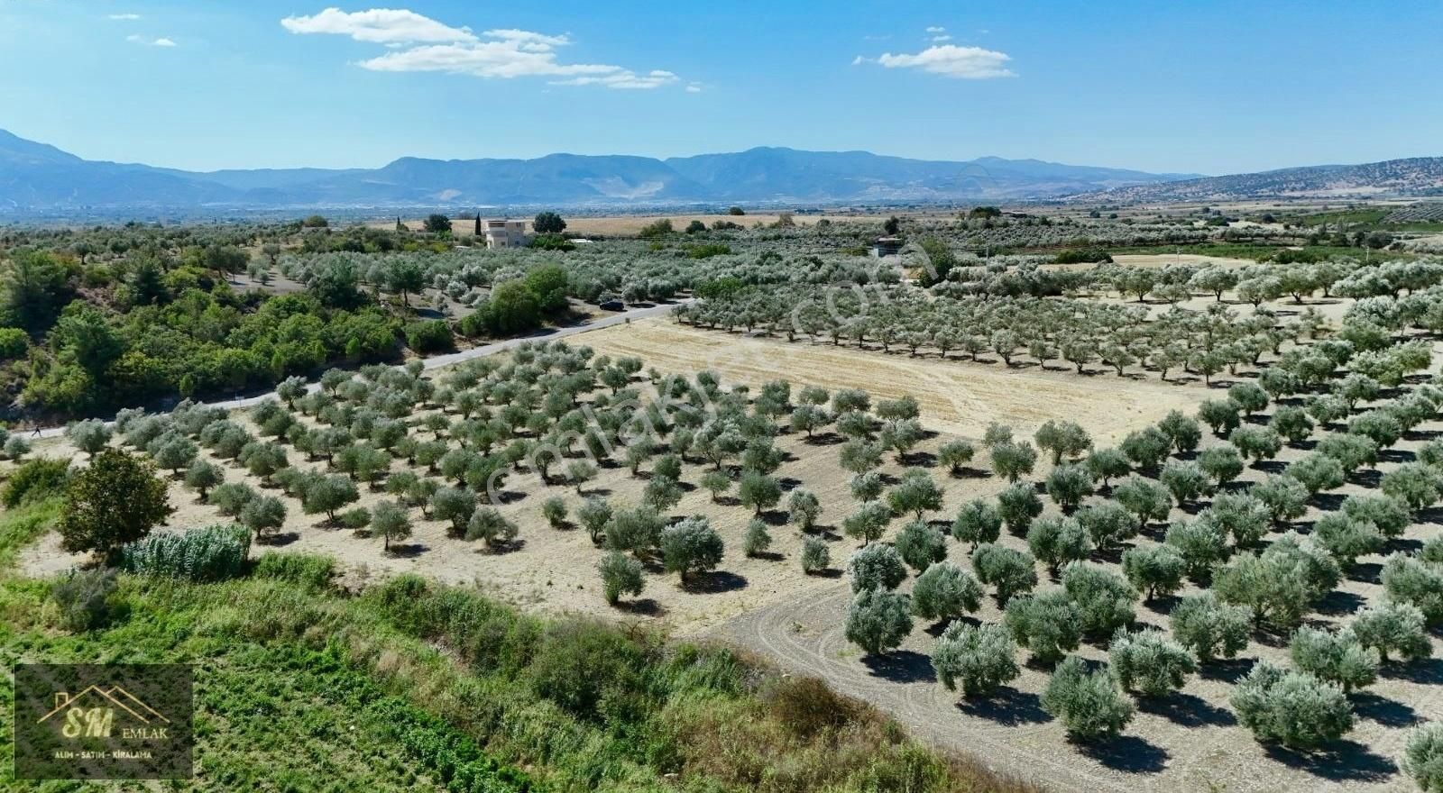 Üçpınar Da Satılık 16.600 Metre Asvalt Yola Cepheli Fırsat Tarla - Görsel 9