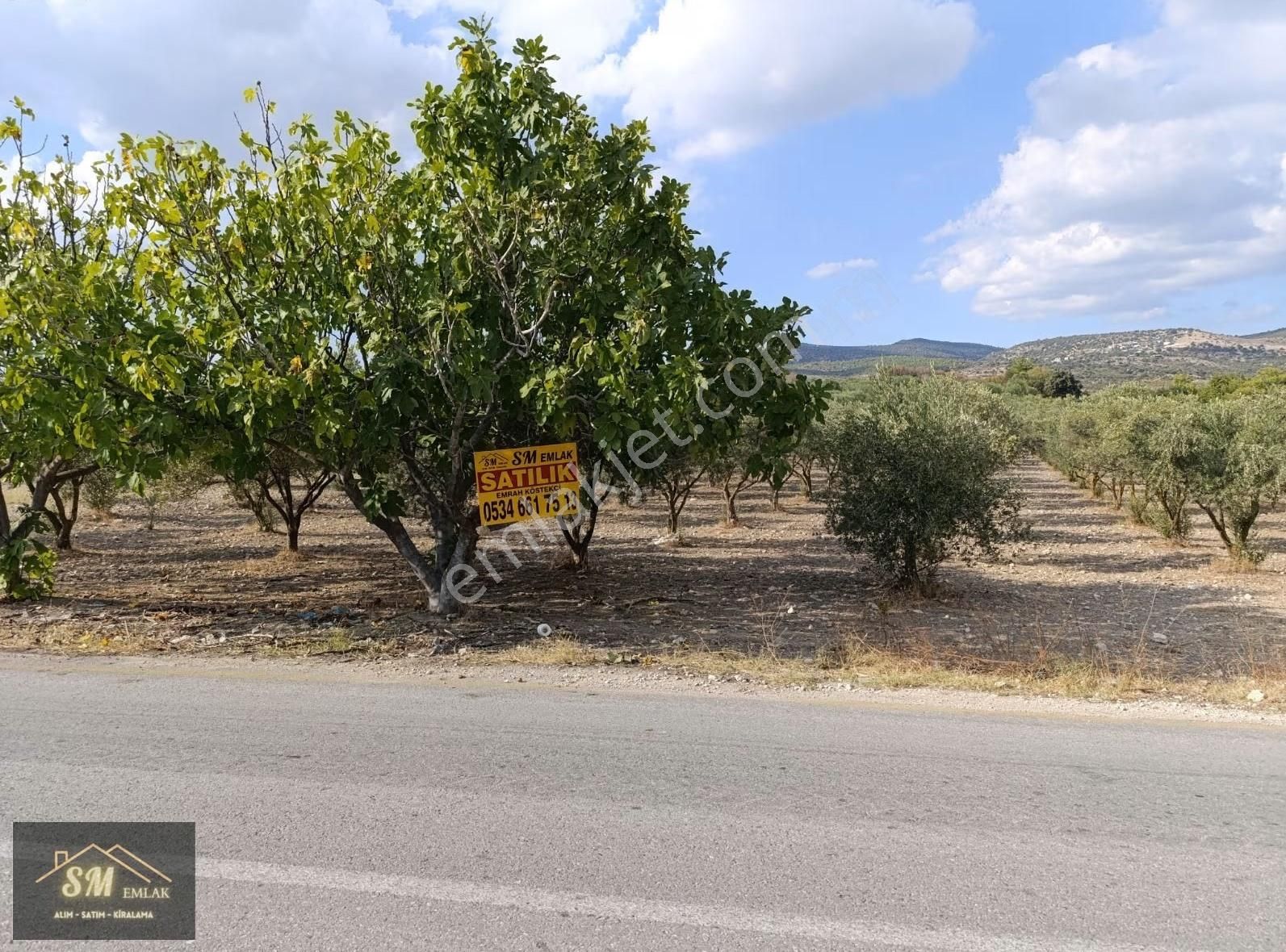 Üçpınar Da Satılık 16.600 Metre Asvalt Yola Cepheli Fırsat Tarla - Görsel 2