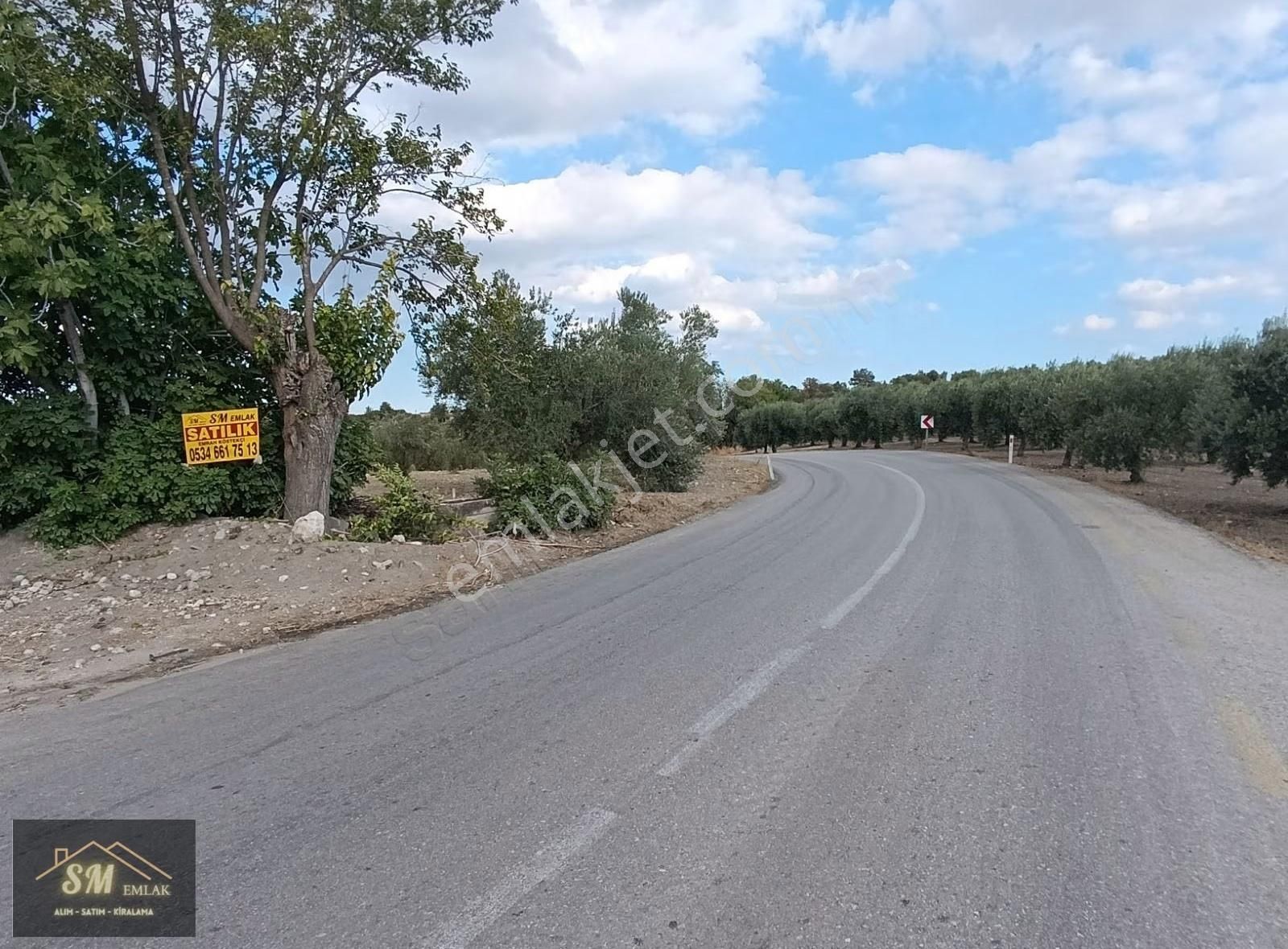 Üçpınar Da Satılık 16.600 Metre Asvalt Yola Cepheli Fırsat Tarla - Görsel 14