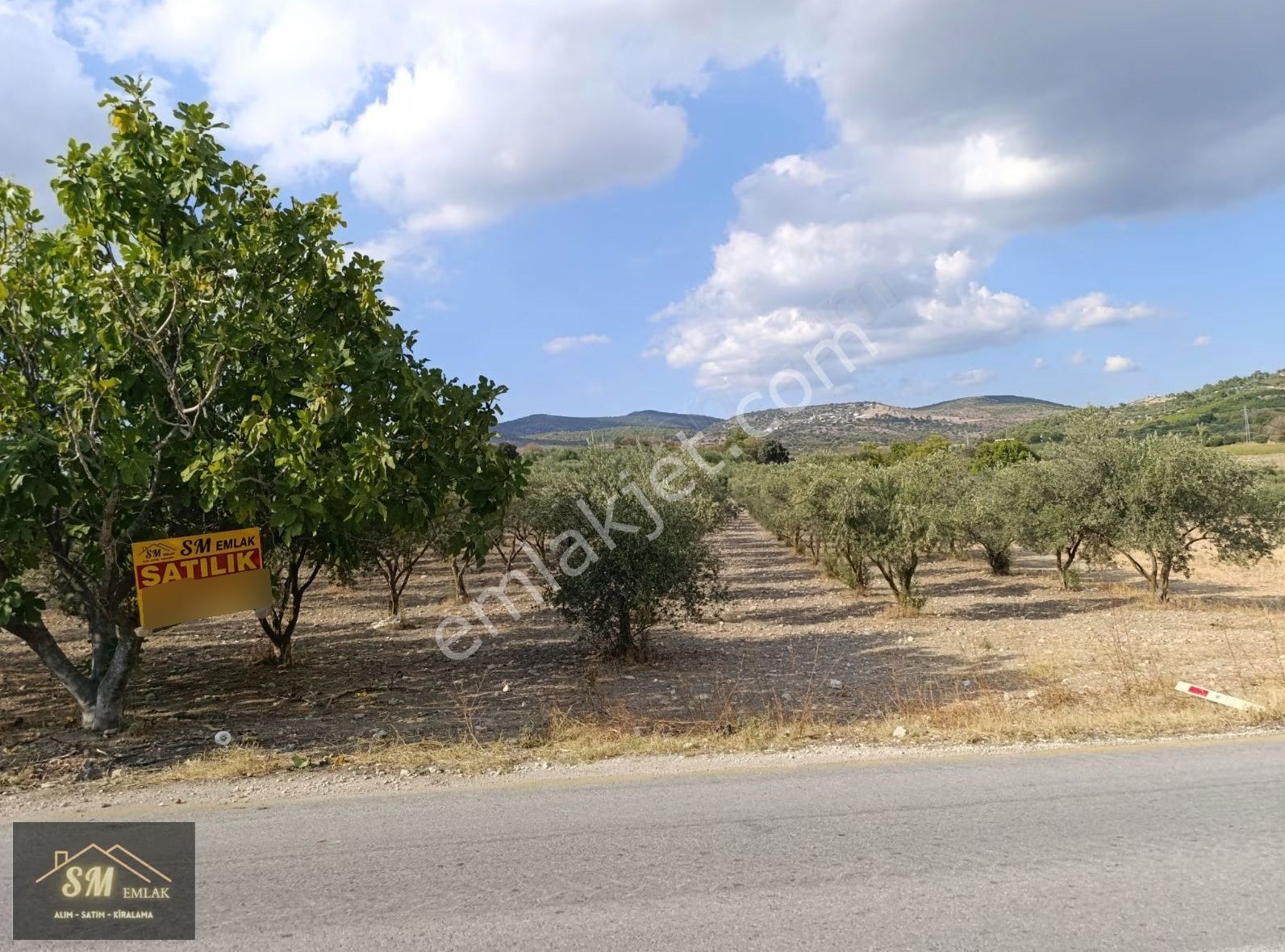 Üçpınar Da Satılık 16.600 Metre Asvalt Yola Cepheli Fırsat Tarla - Görsel 7