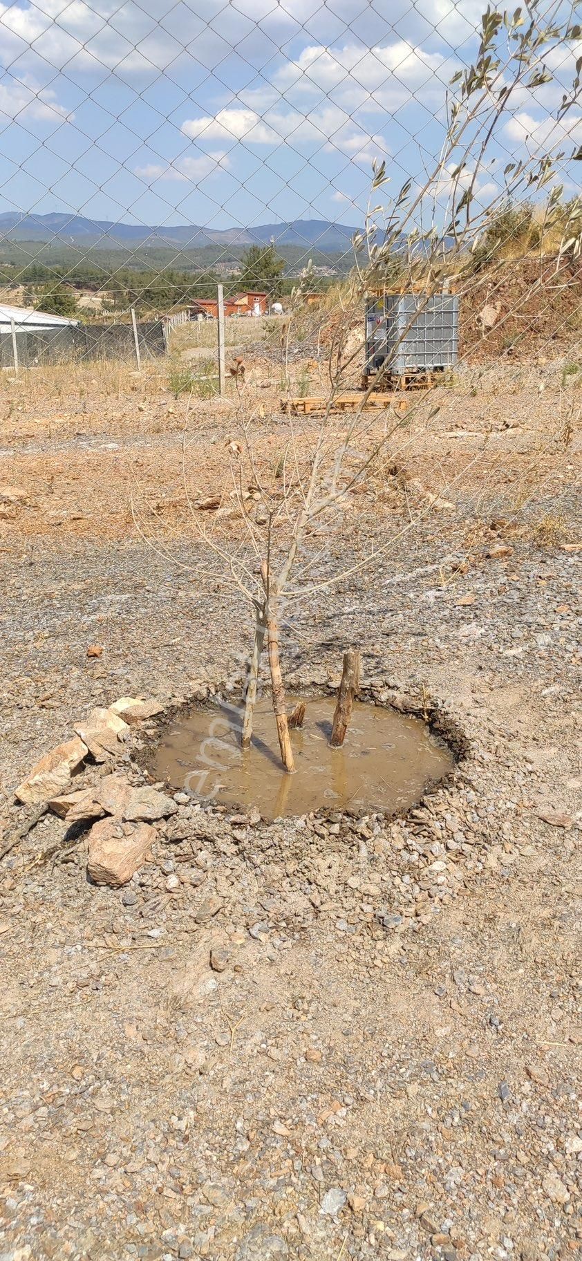 Torbalı 300m2 Hisse Tapulu Arsa - Görsel 3