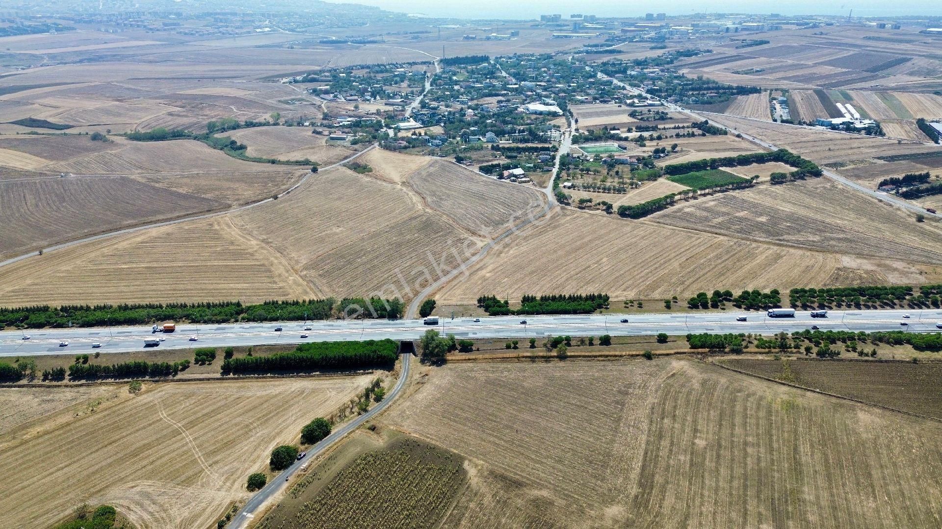 Satılık Tarla - Görsel 5