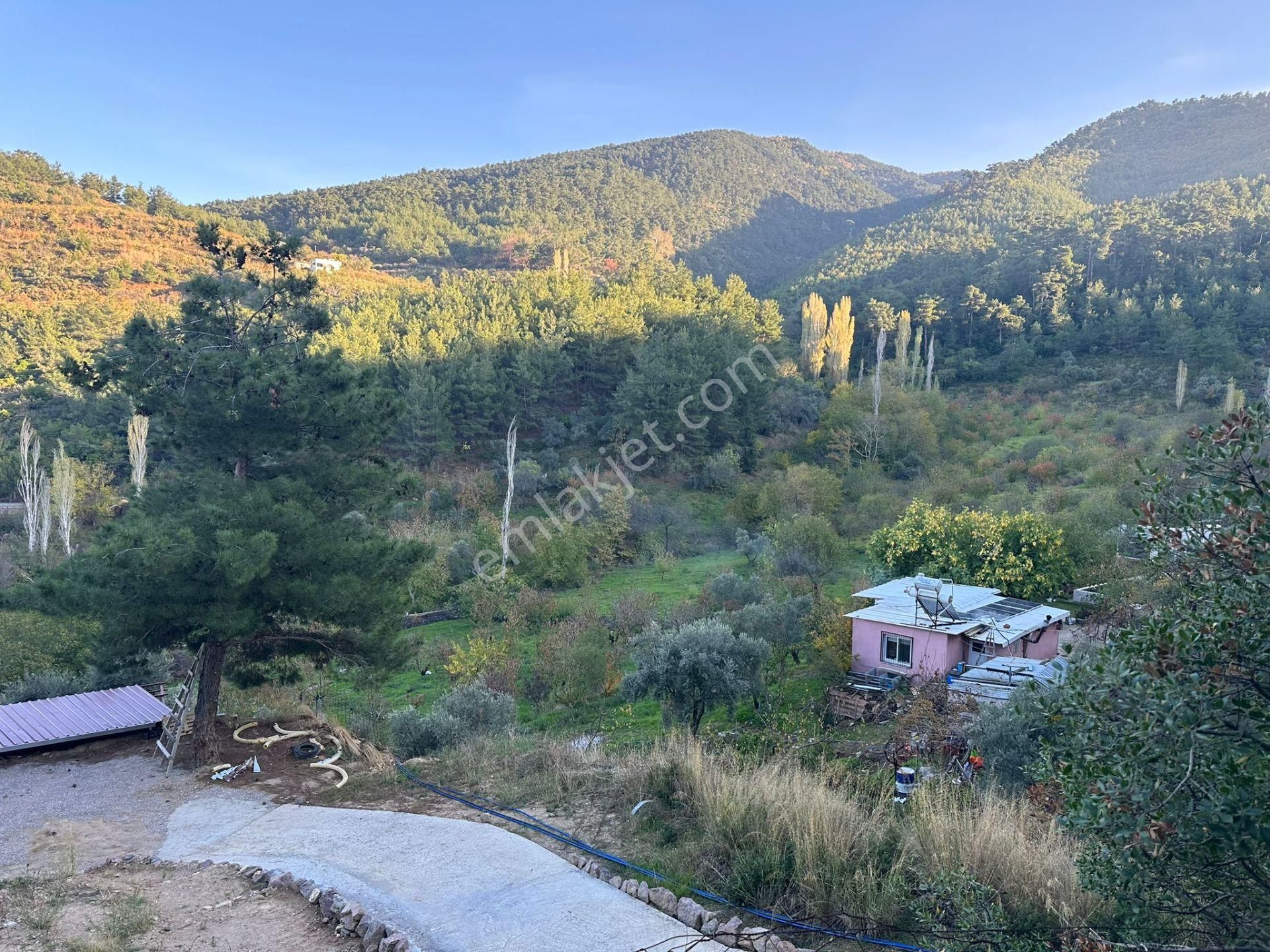 Kemalpaşa Armutlu’da Satılık Arazi Ve Taş Ev - Görsel 27