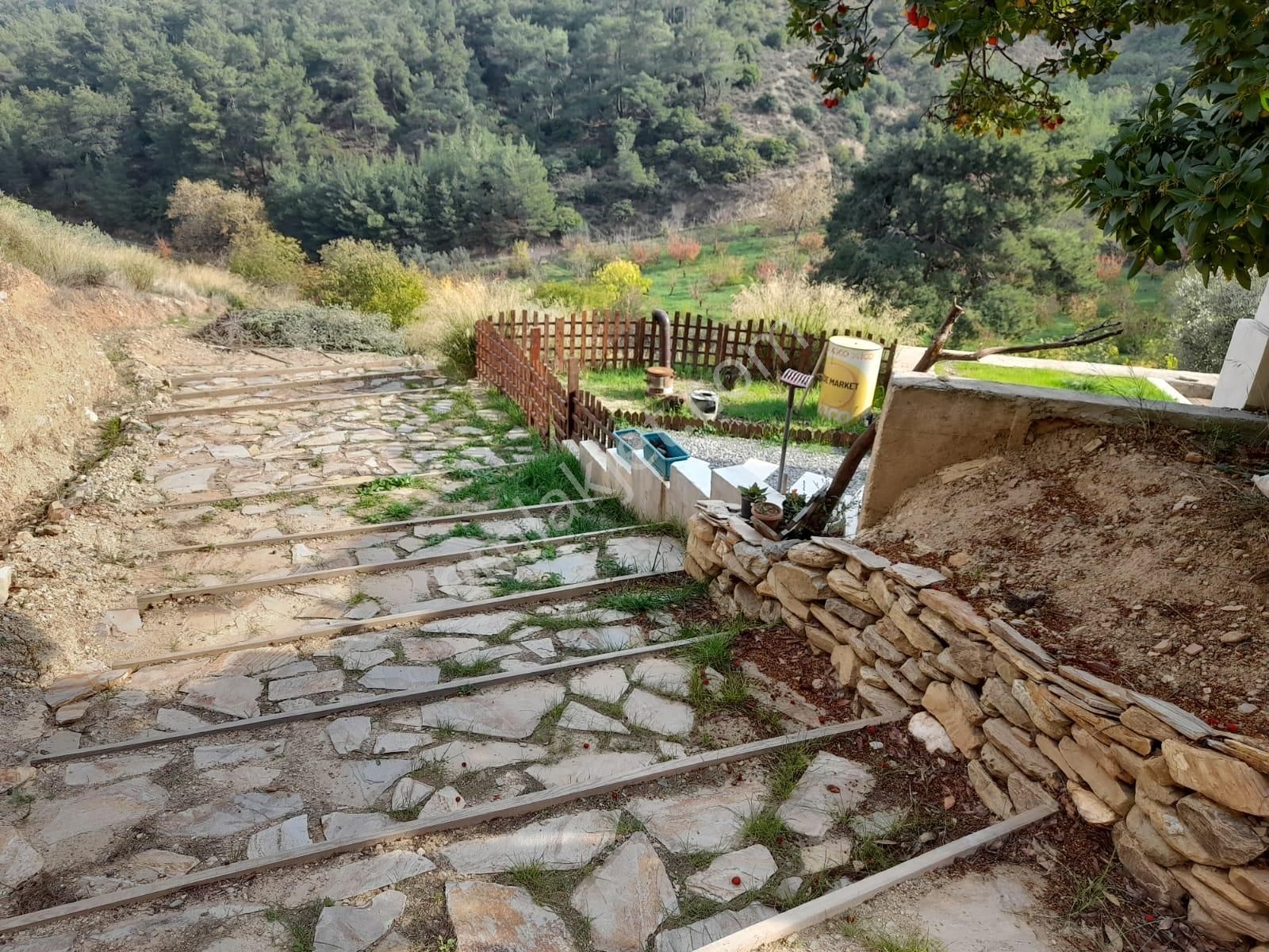 Kemalpaşa Armutlu’da Satılık Arazi Ve Taş Ev - Görsel 4