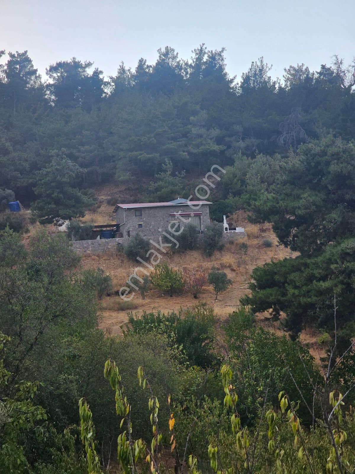 Kemalpaşa Armutlu’da Satılık Arazi Ve Taş Ev - Görsel 2