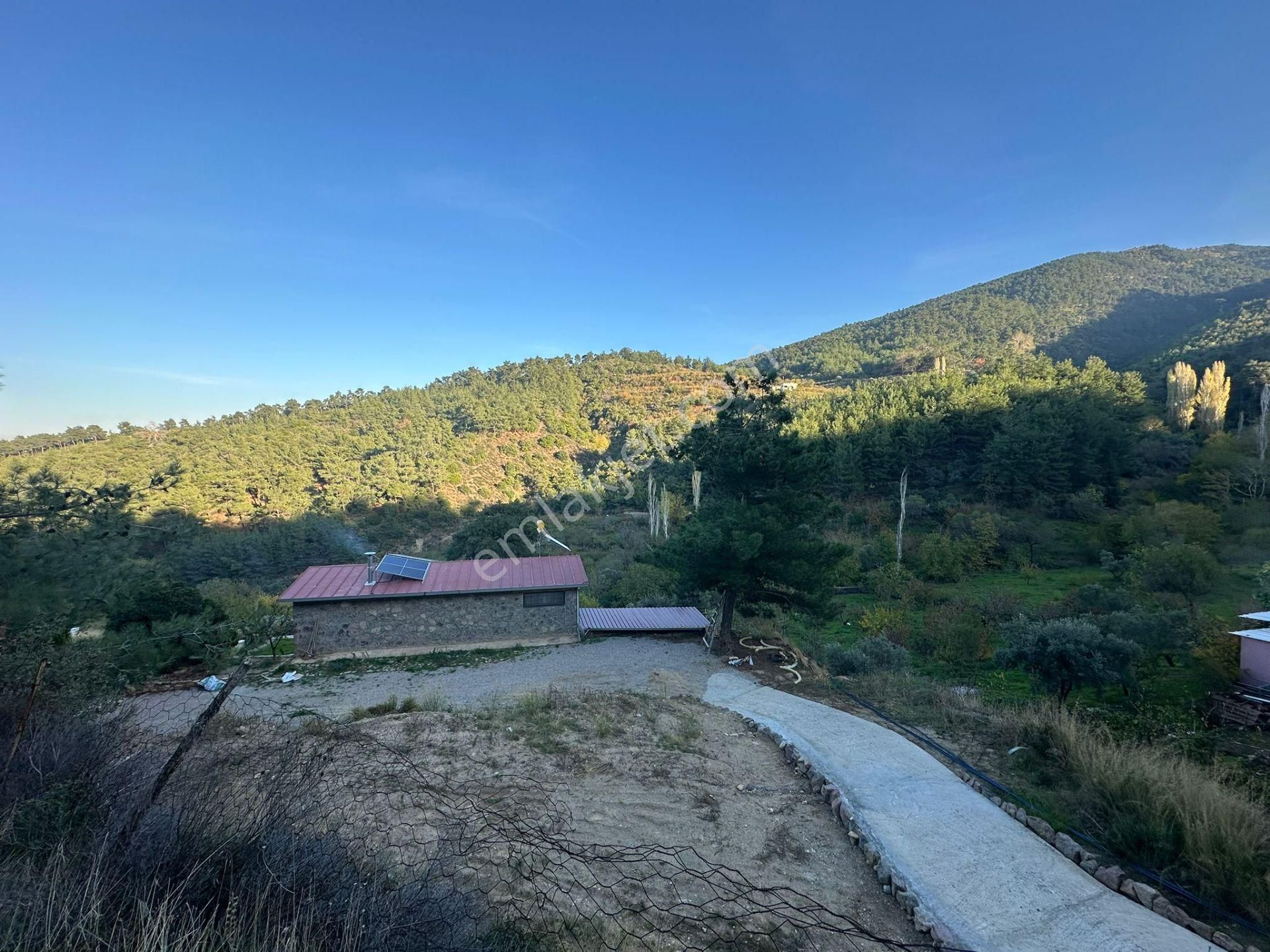 Kemalpaşa Armutlu’da Satılık Arazi Ve Taş Ev - Görsel 23