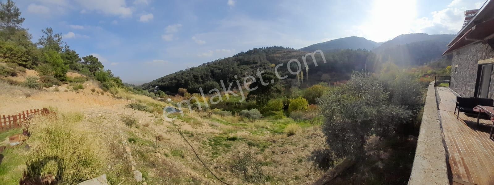 Kemalpaşa Armutlu’da Satılık Arazi Ve Taş Ev - Görsel 8