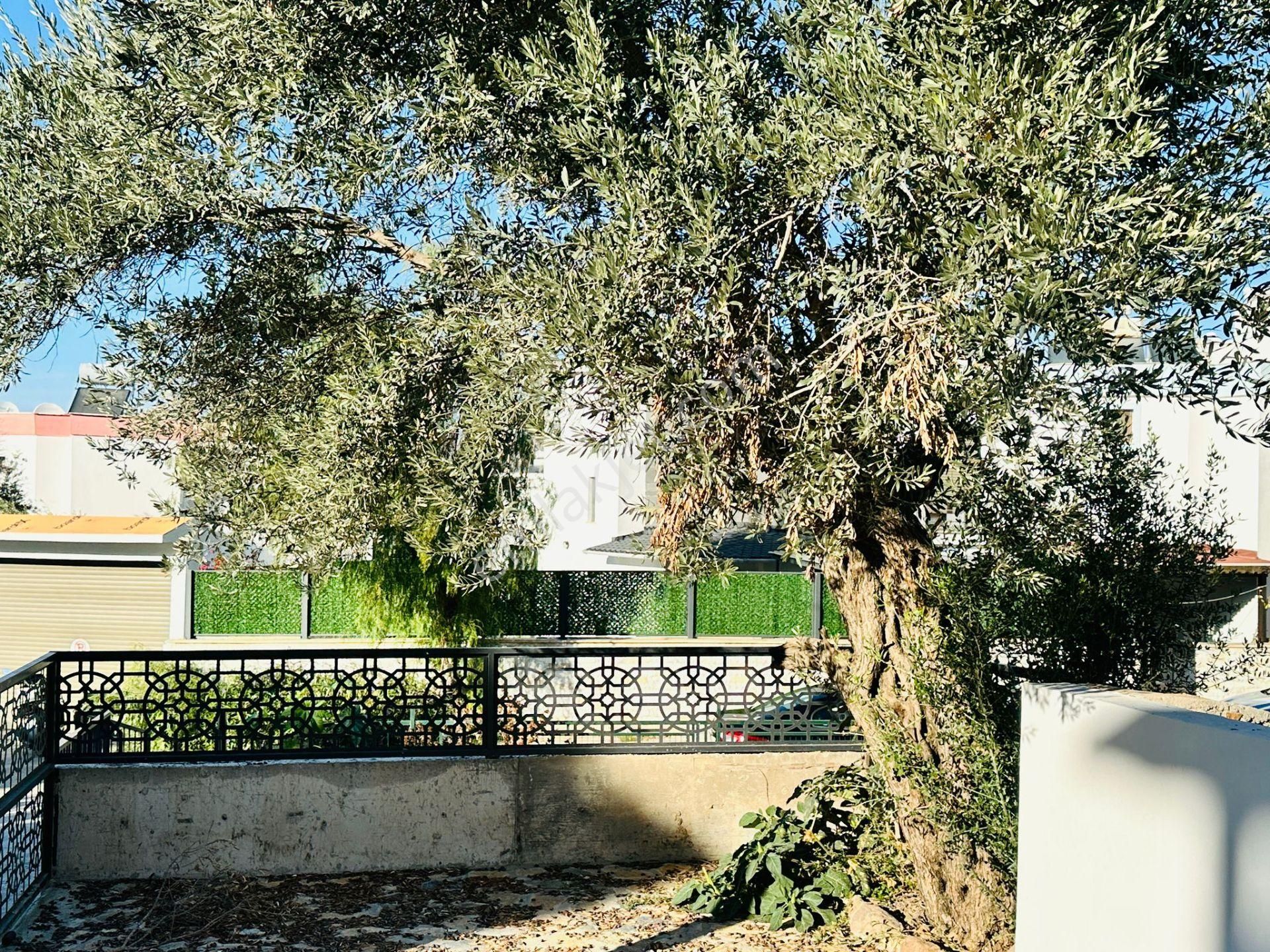 Turgutreis Te 400 M2 Arsa İçinde Sıfır 1 Dubleks Ve 1 Daire - Görsel 4