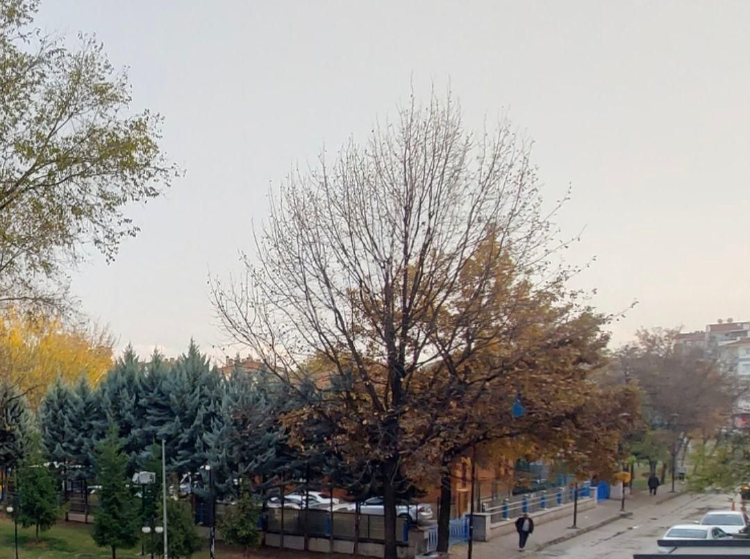 Murat Türkmen'den Sincan'da Kiralık Mükemmel_konumda Ön_cepheli 1.katta Büyük_2+1_daire_fırsatı - Görsel 3