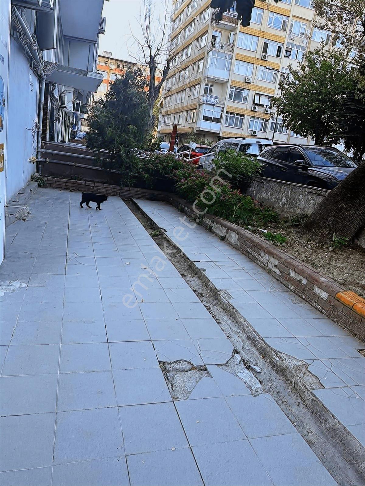 Engin Erdem'den Merterde Satılık 3 Tapulu 2 Katlı Köşe Dükkan - Görsel 28
