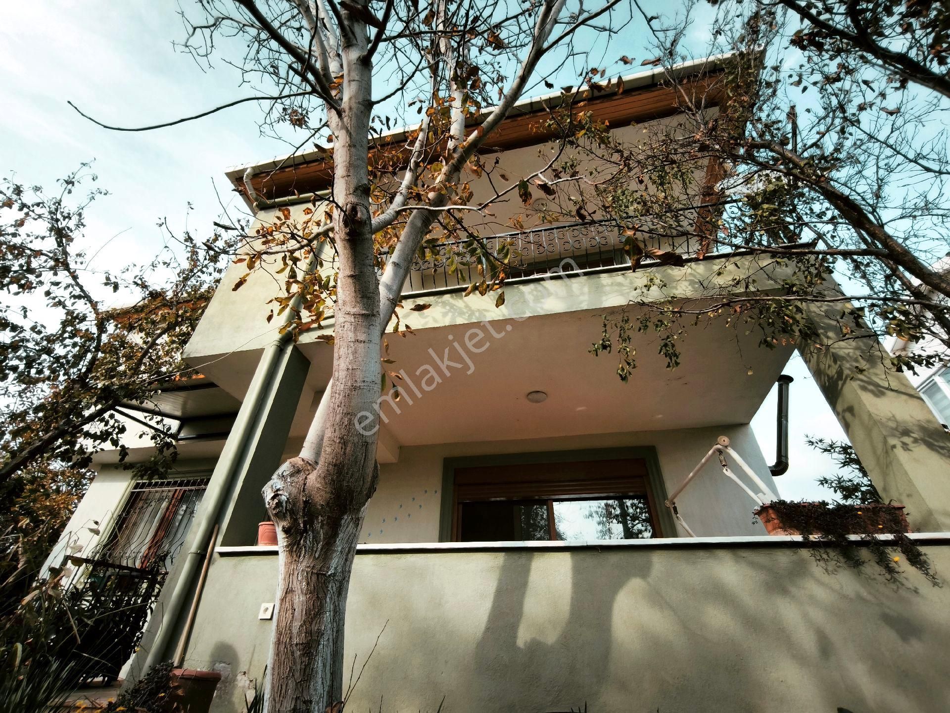 Burhaniye Taylıelinde Satılık Geniş Bahçeli Satılık - Görsel 3