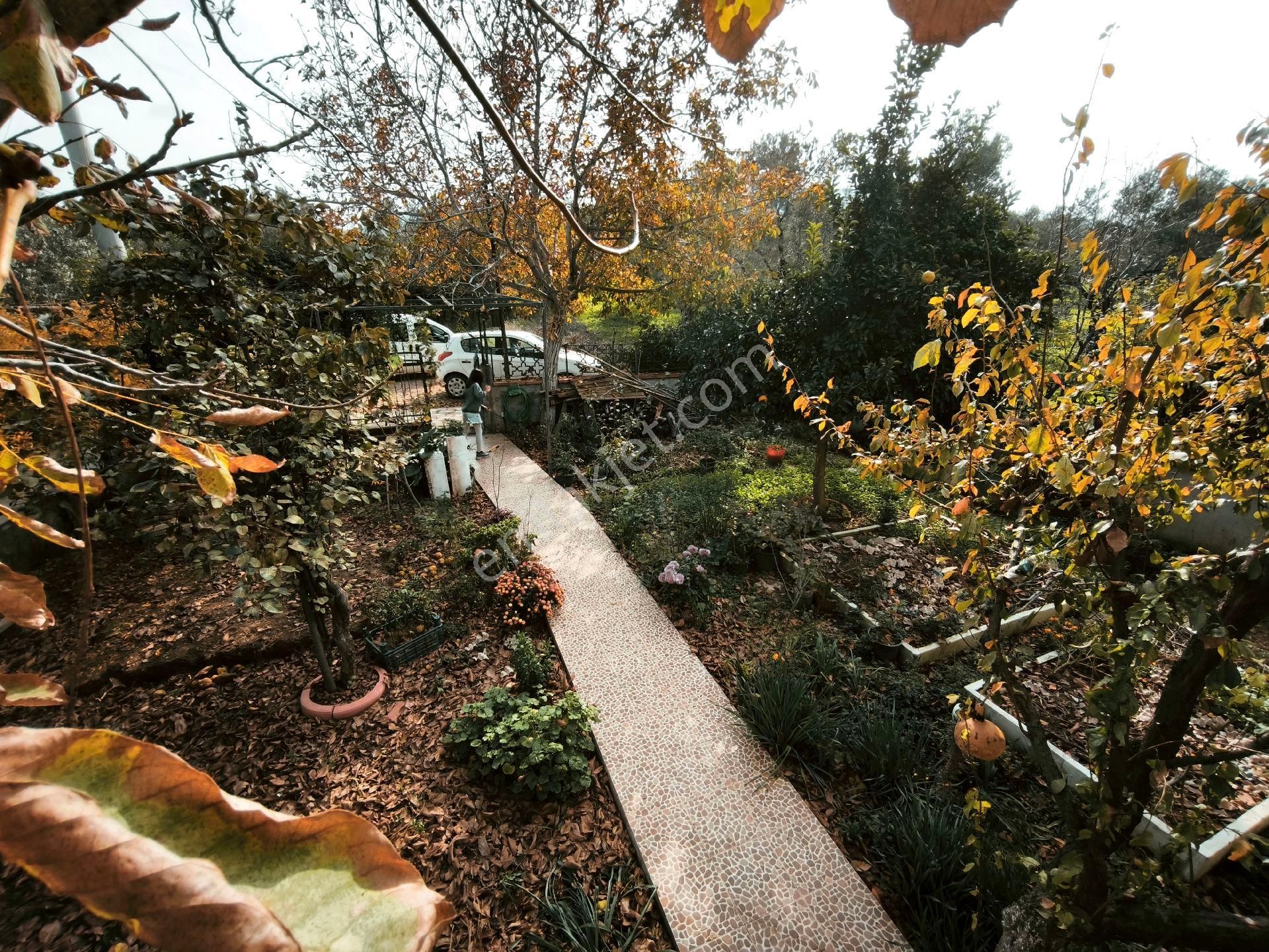 Burhaniye Taylıelinde Satılık Geniş Bahçeli Satılık - Görsel 8