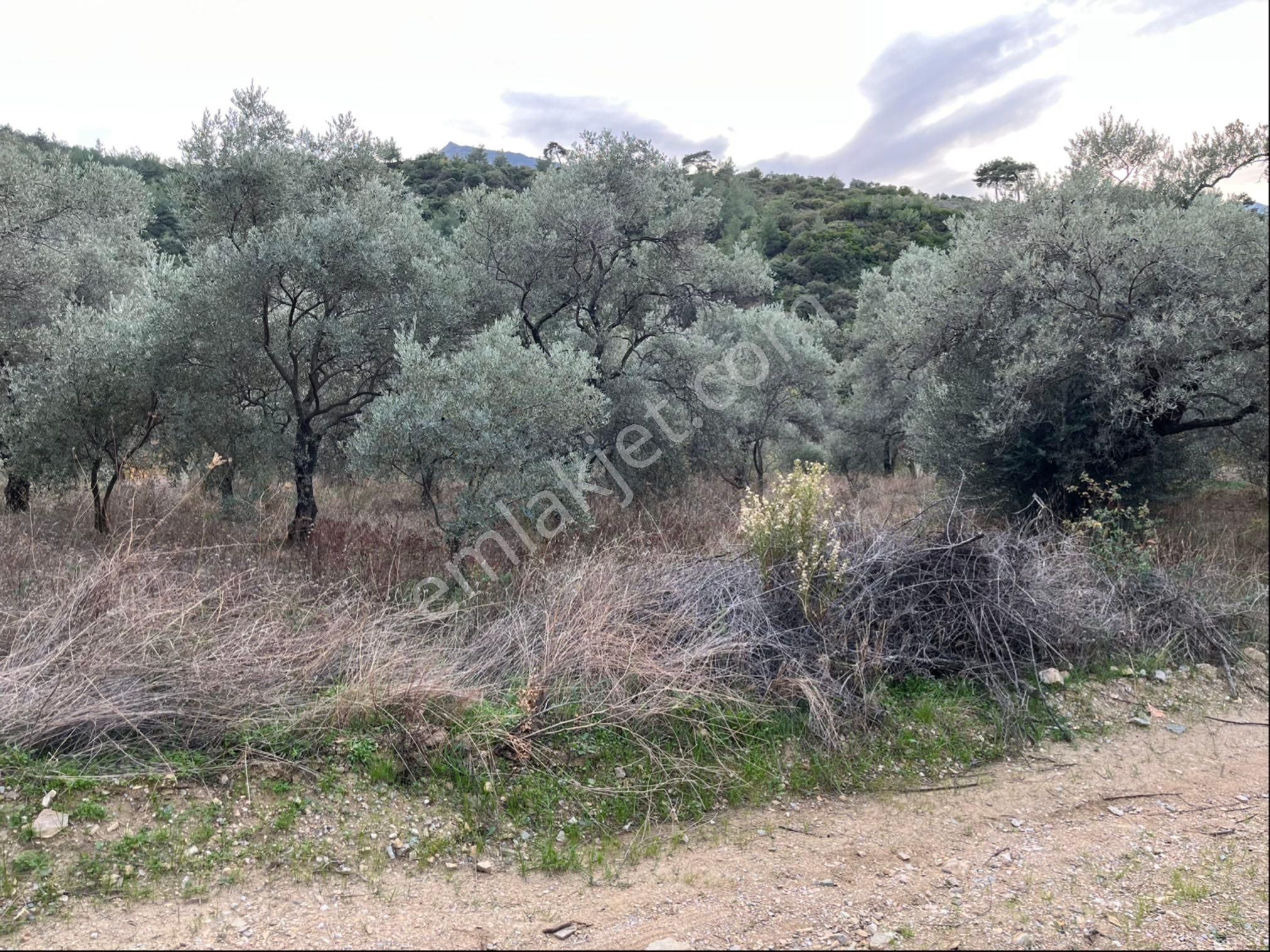 İhtiyaçtan Satılık