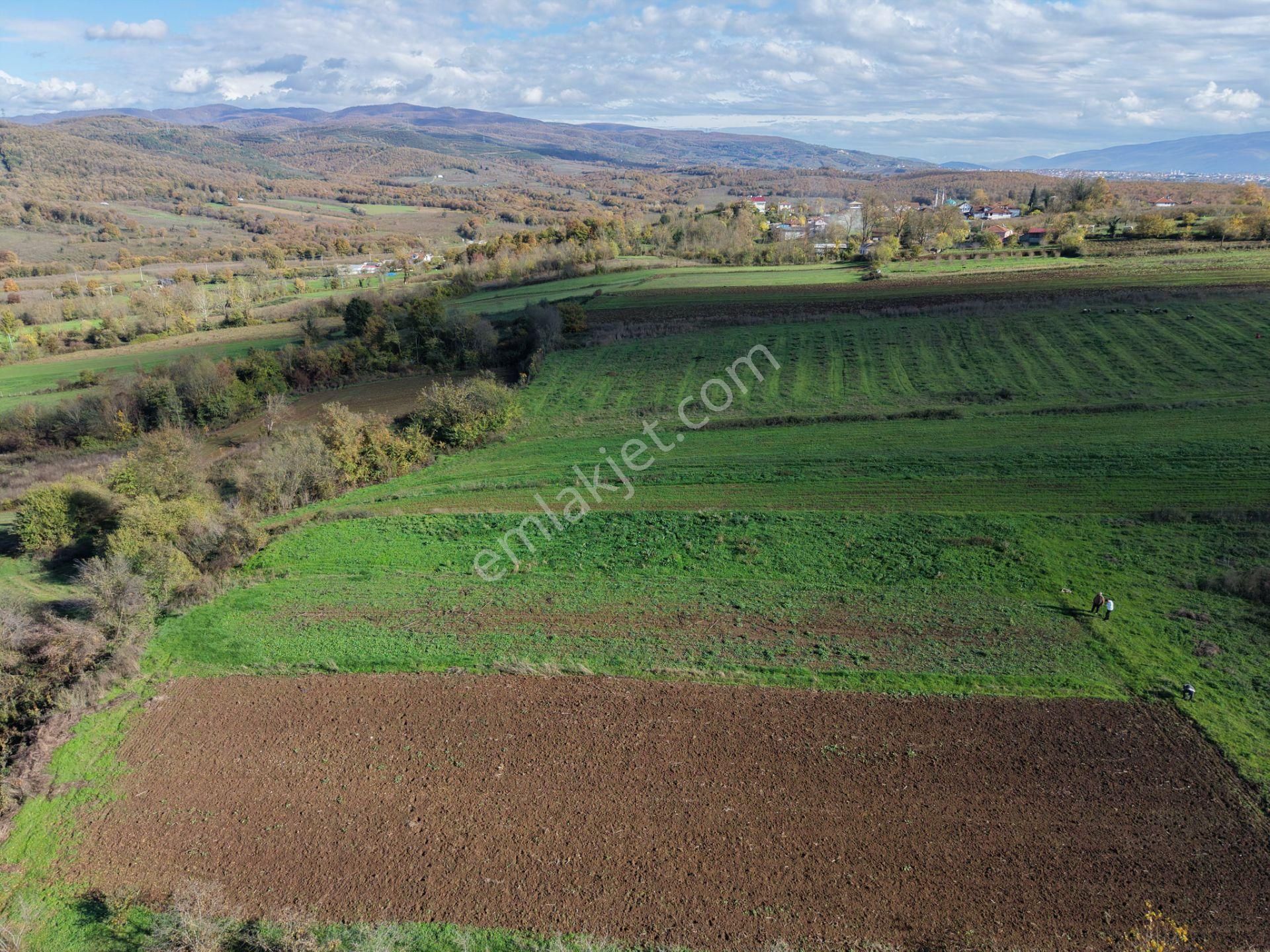 Emlakevim - Şehler Mahallesinde Satılık 908 M2 Tarla ! - Görsel 3