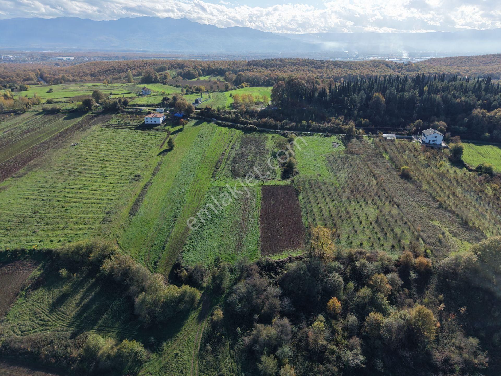 Emlakevim - Şehler Mahallesinde Satılık 908 M2 Tarla ! - Görsel 34