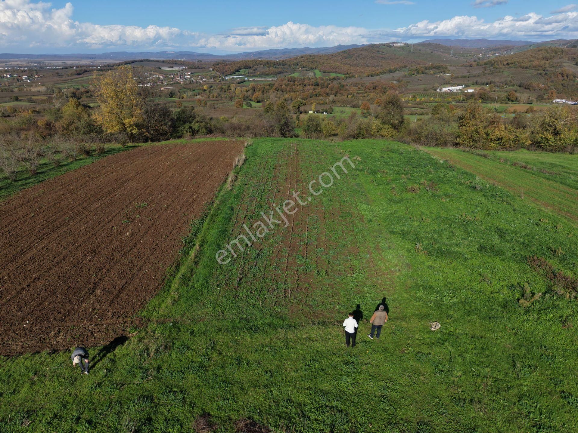Emlakevim - Şehler Mahallesinde Satılık 908 M2 Tarla ! - Görsel 23