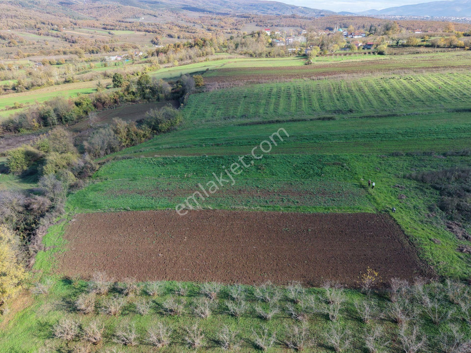 Emlakevim - Şehler Mahallesinde Satılık 908 M2 Tarla ! - Görsel 2