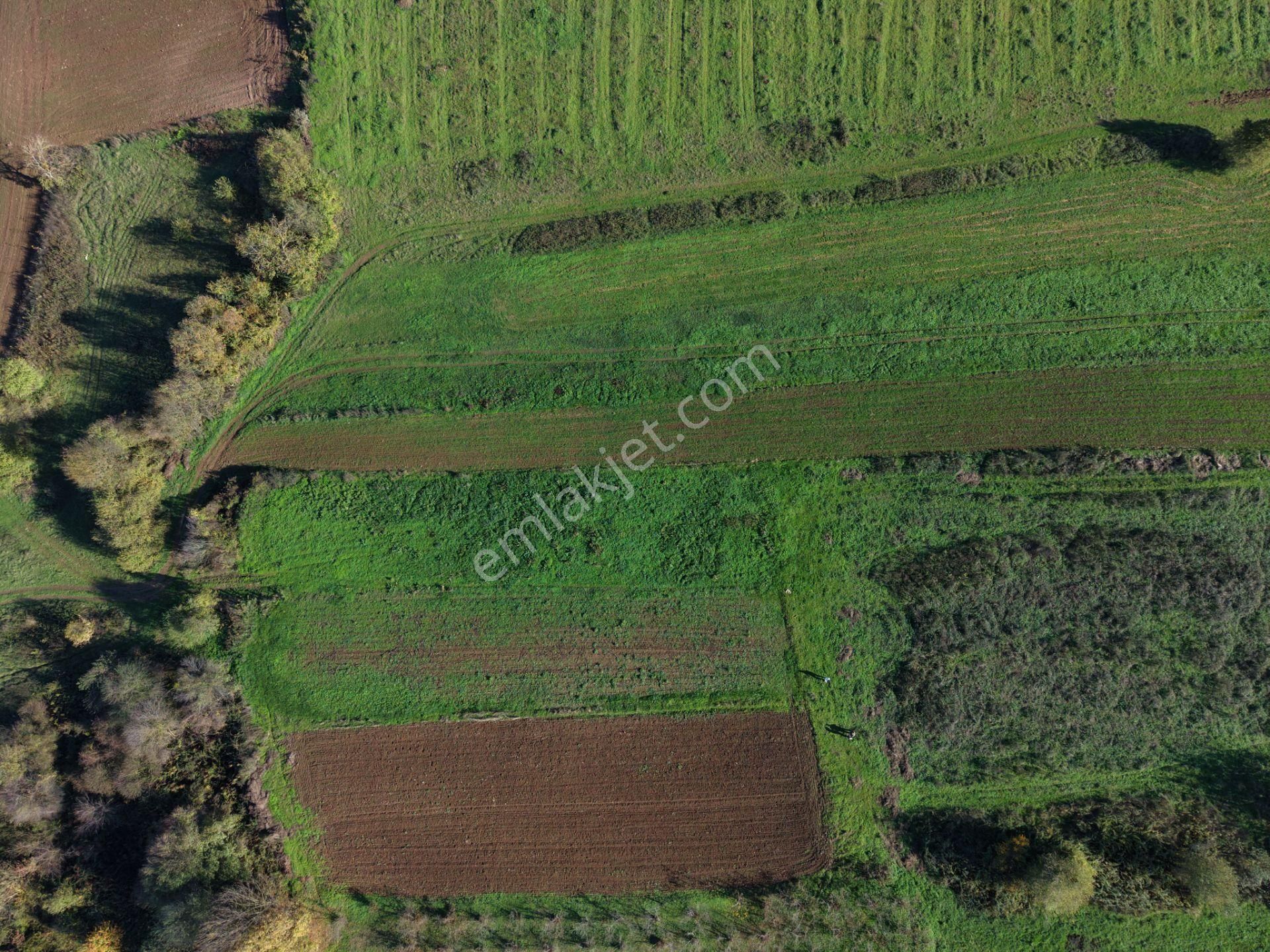 Emlakevim - Şehler Mahallesinde Satılık 908 M2 Tarla ! - Görsel 24