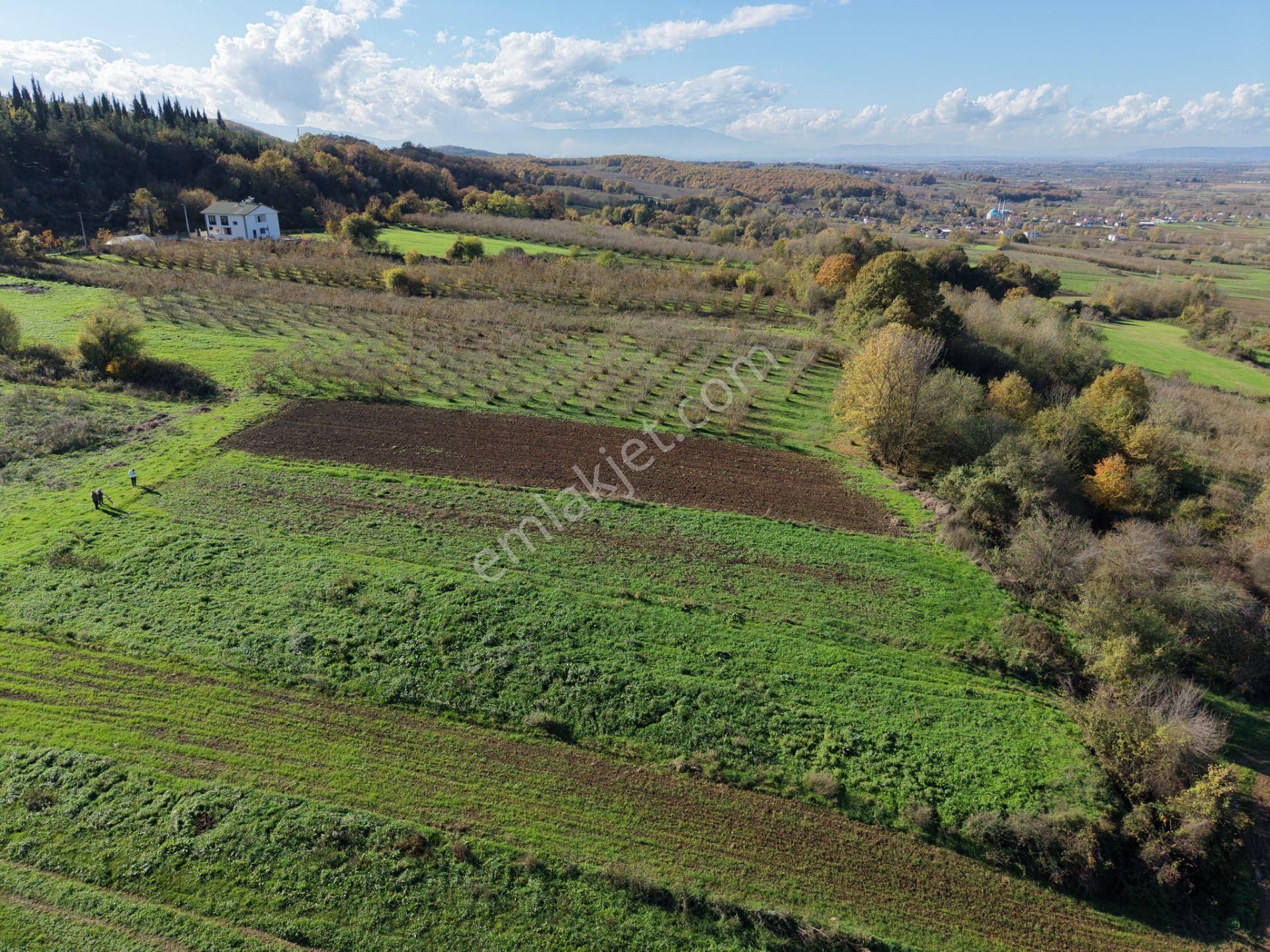 Emlakevim - Şehler Mahallesinde Satılık 908 M2 Tarla ! - Görsel 21