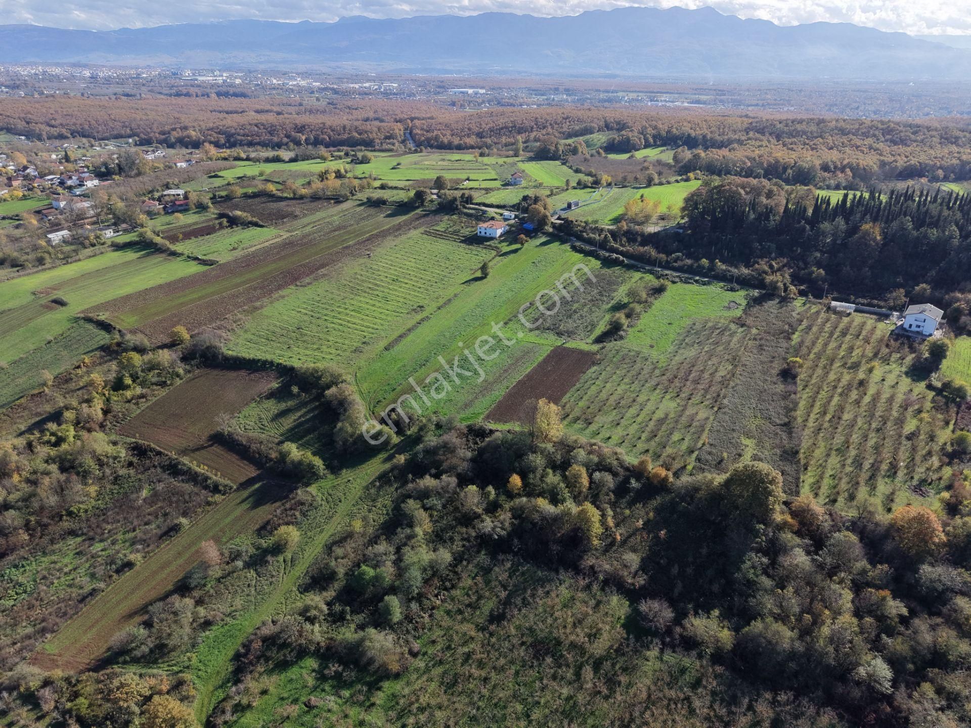 Emlakevim - Şehler Mahallesinde Satılık 908 M2 Tarla ! - Görsel 25