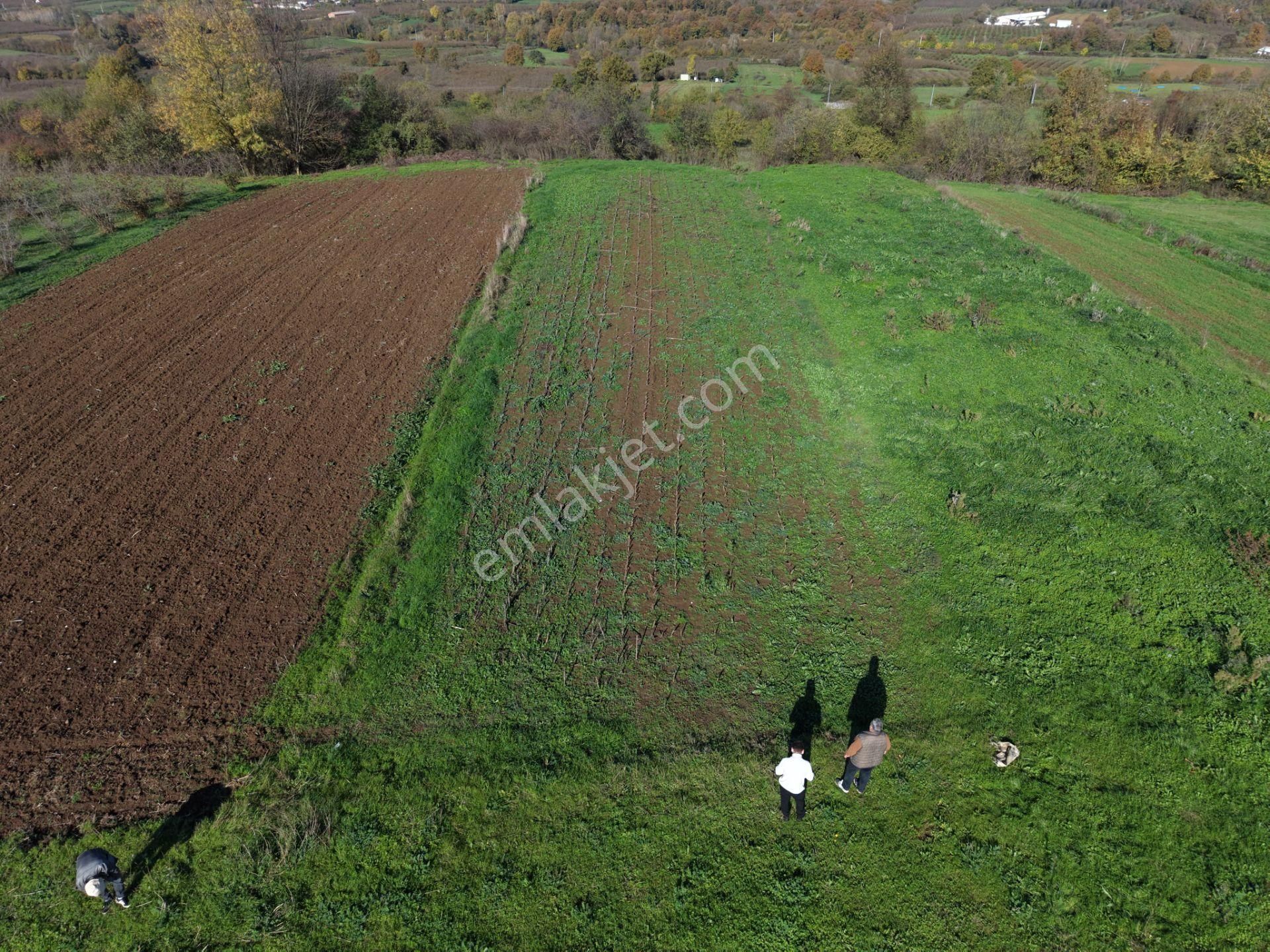 Emlakevim - Şehler Mahallesinde Satılık 908 M2 Tarla ! - Görsel 30
