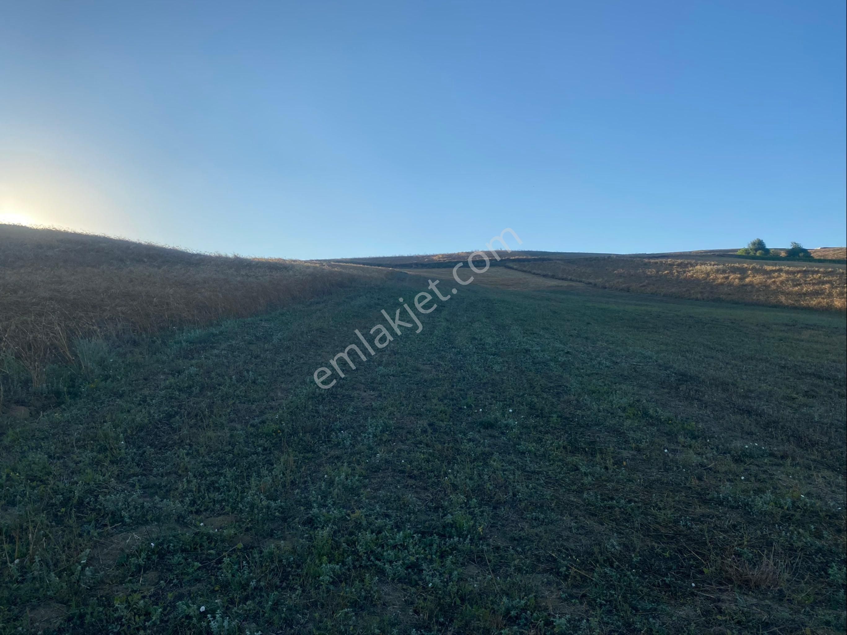 Kocaeli Derince Kaşıkçı Sahibinden Tek Tapu Yatırımlık Arsa - Görsel 11