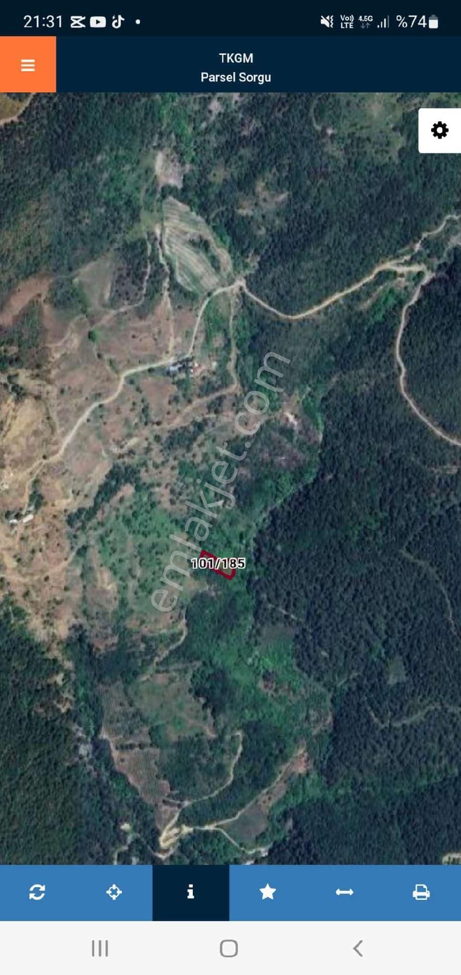 Sakarya Geyvede - Görsel 7