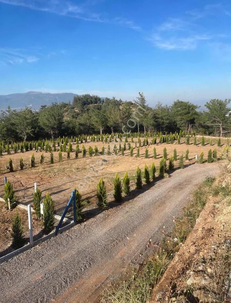 Kemalpaşa Yukarıkızılca Da Manzaralı Projeli 411m2 Bahçeler - Görsel 9