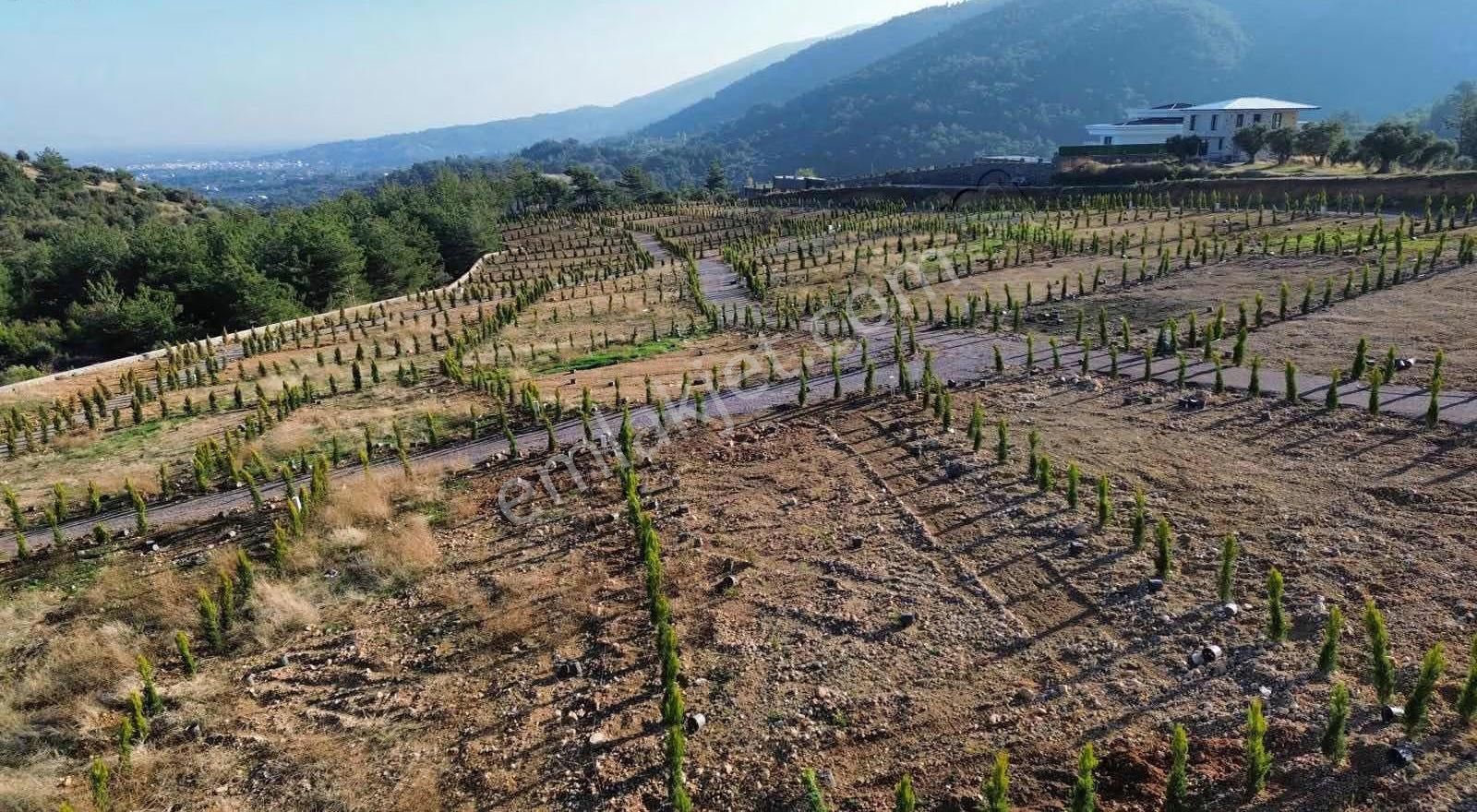 Kemalpaşa Yukarıkızılca Da Manzaralı Projeli 411m2 Bahçeler - Görsel 10