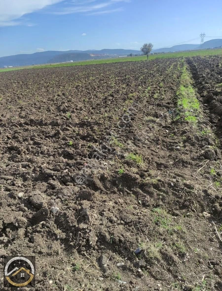 Menderes Tekelide 6 Dönüm Yatırımlık Arazi. - Görsel 2