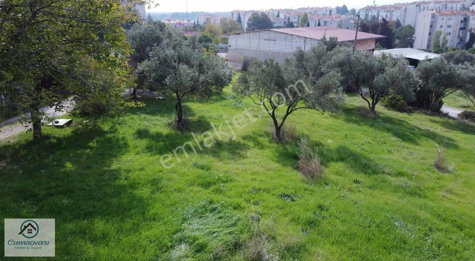 Cumaovası Emlaktan Satılık 3000 M2 Satılık Tek Tapu - Görsel 19
