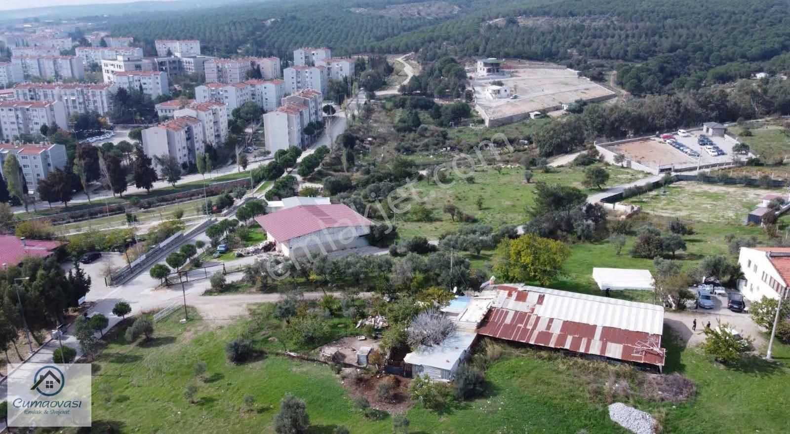 Cumaovası Emlaktan Satılık 3000 M2 Satılık Tek Tapu - Görsel 24