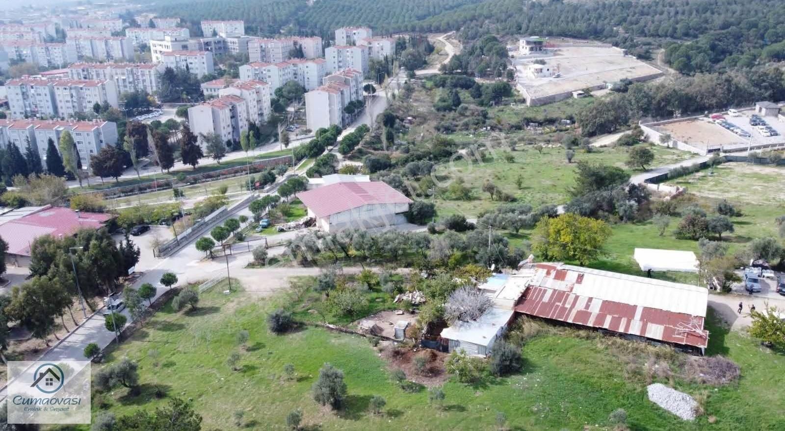Cumaovası Emlaktan Satılık 3000 M2 Satılık Tek Tapu - Görsel 21