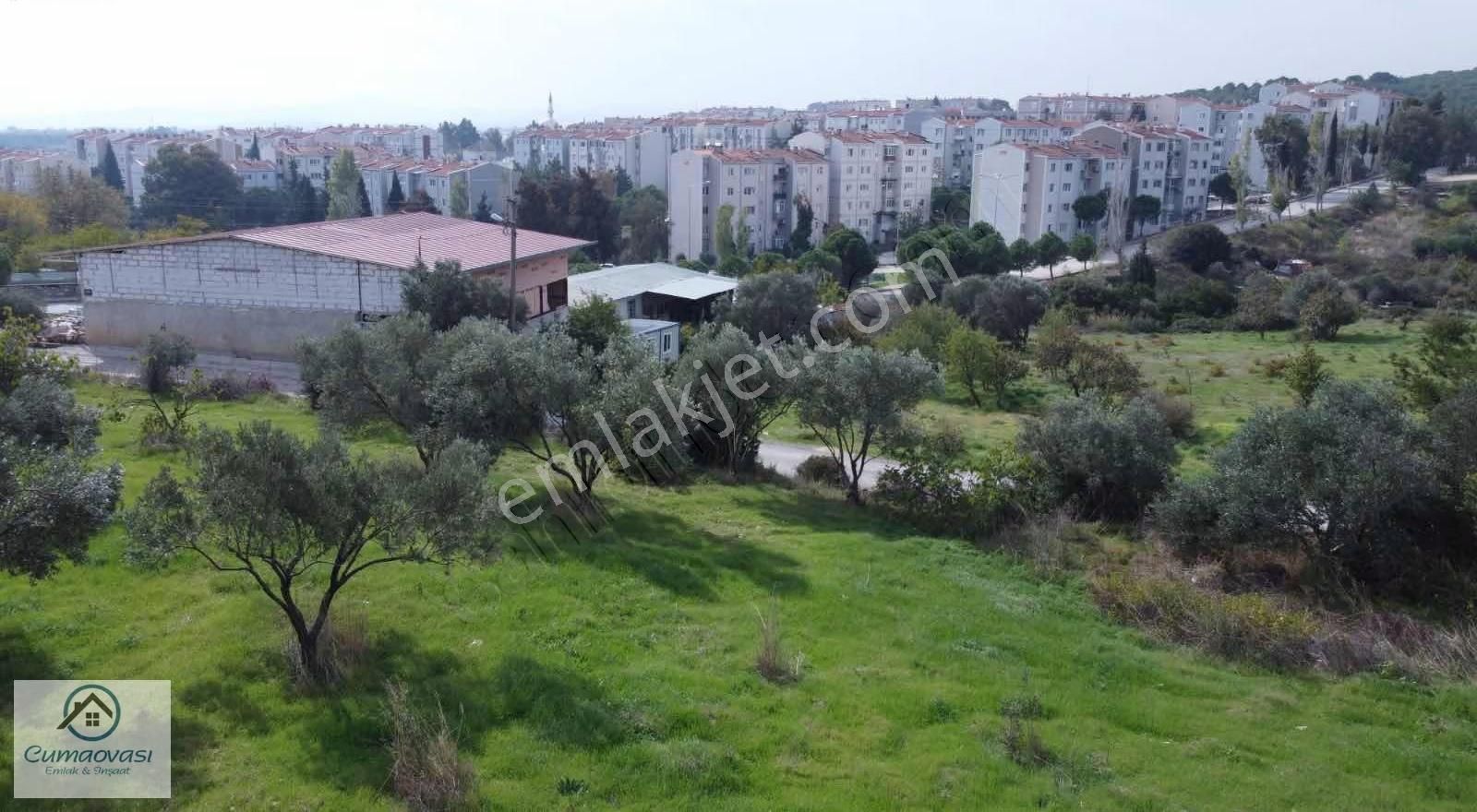 Cumaovası Emlaktan Satılık 3000 M2 Satılık Tek Tapu - Görsel 23