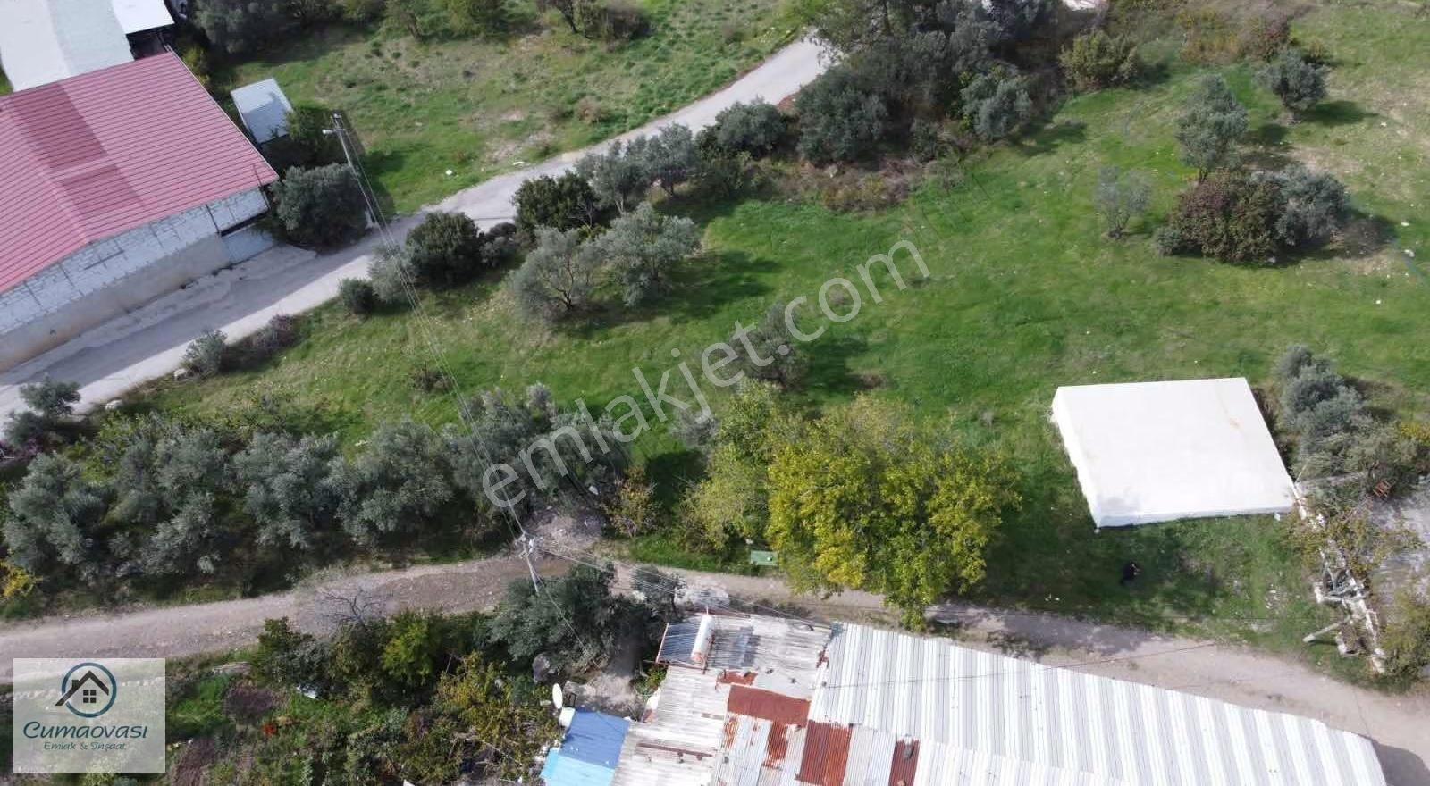 Cumaovası Emlaktan Satılık 3000 M2 Satılık Tek Tapu - Görsel 20