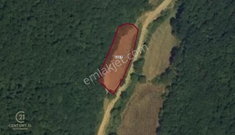 Century21 Baldan Manyas Erecek Mah. Satılık Bahçe