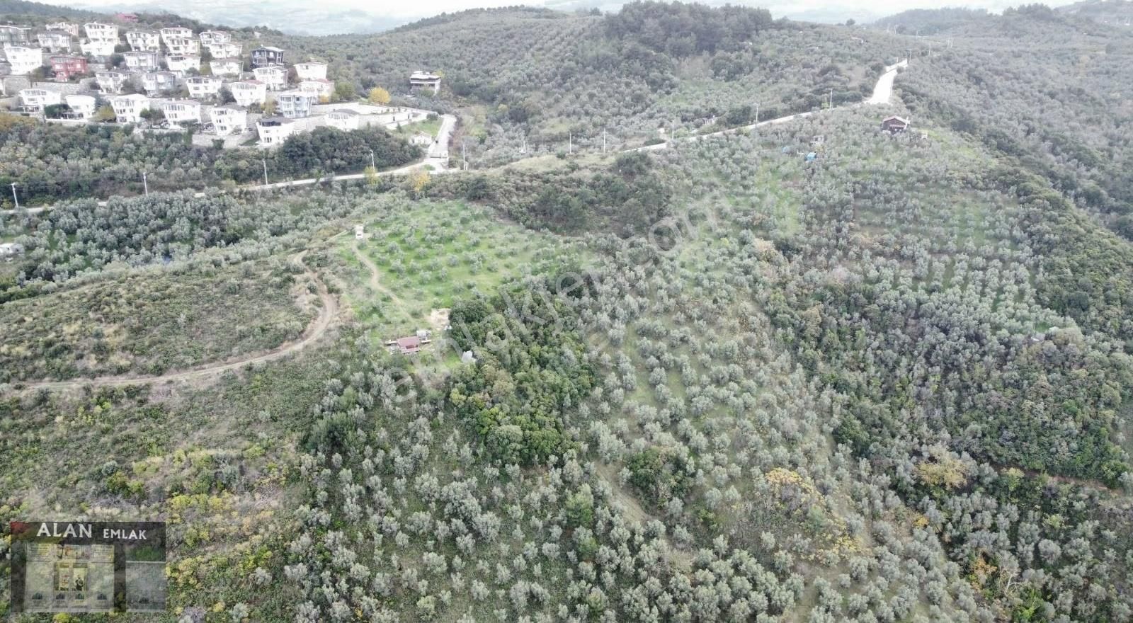 Mudanya Halitpaşada Satılık Toplam 12.803m2 Açıklamayı Okuyunuz! - Görsel 8
